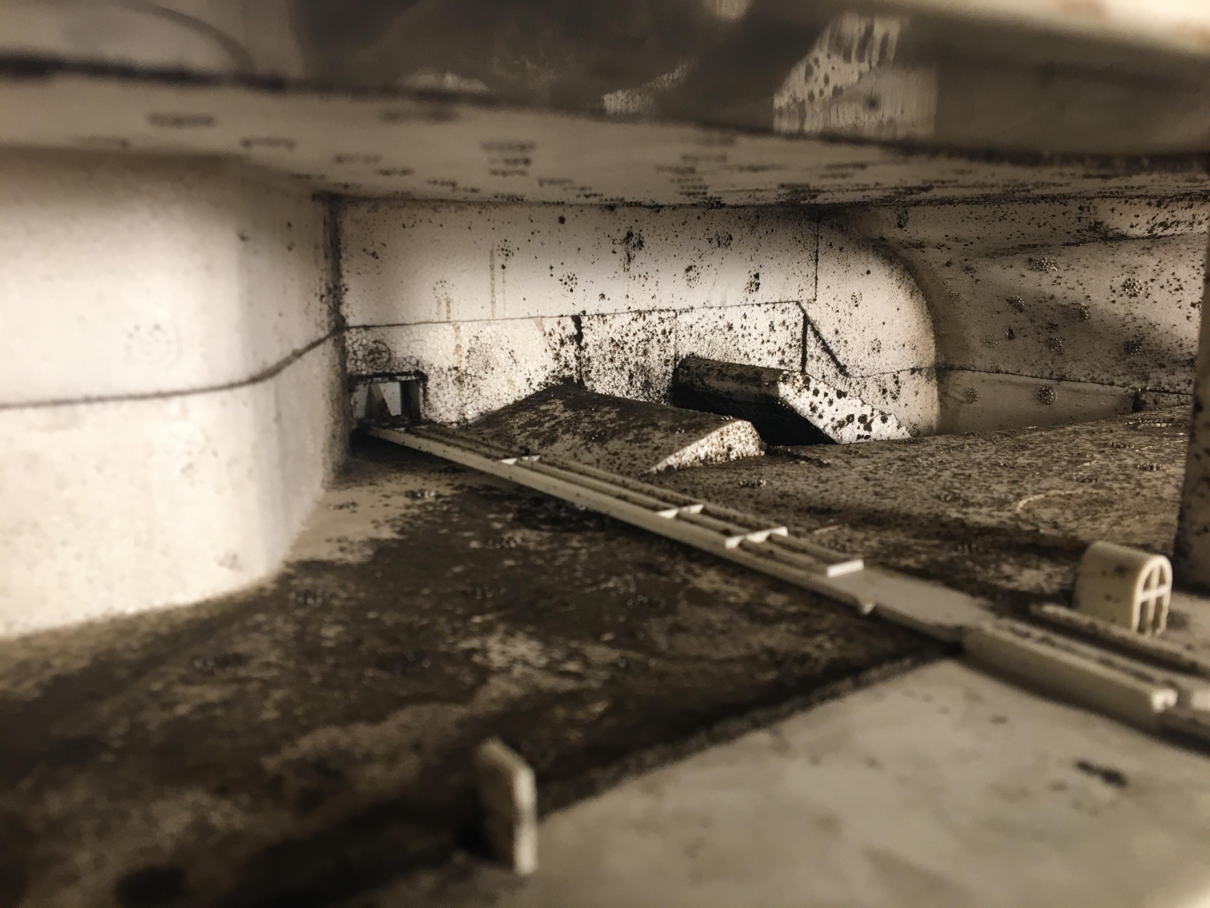 Y’all is this really mold and should i be worried that it’s in my