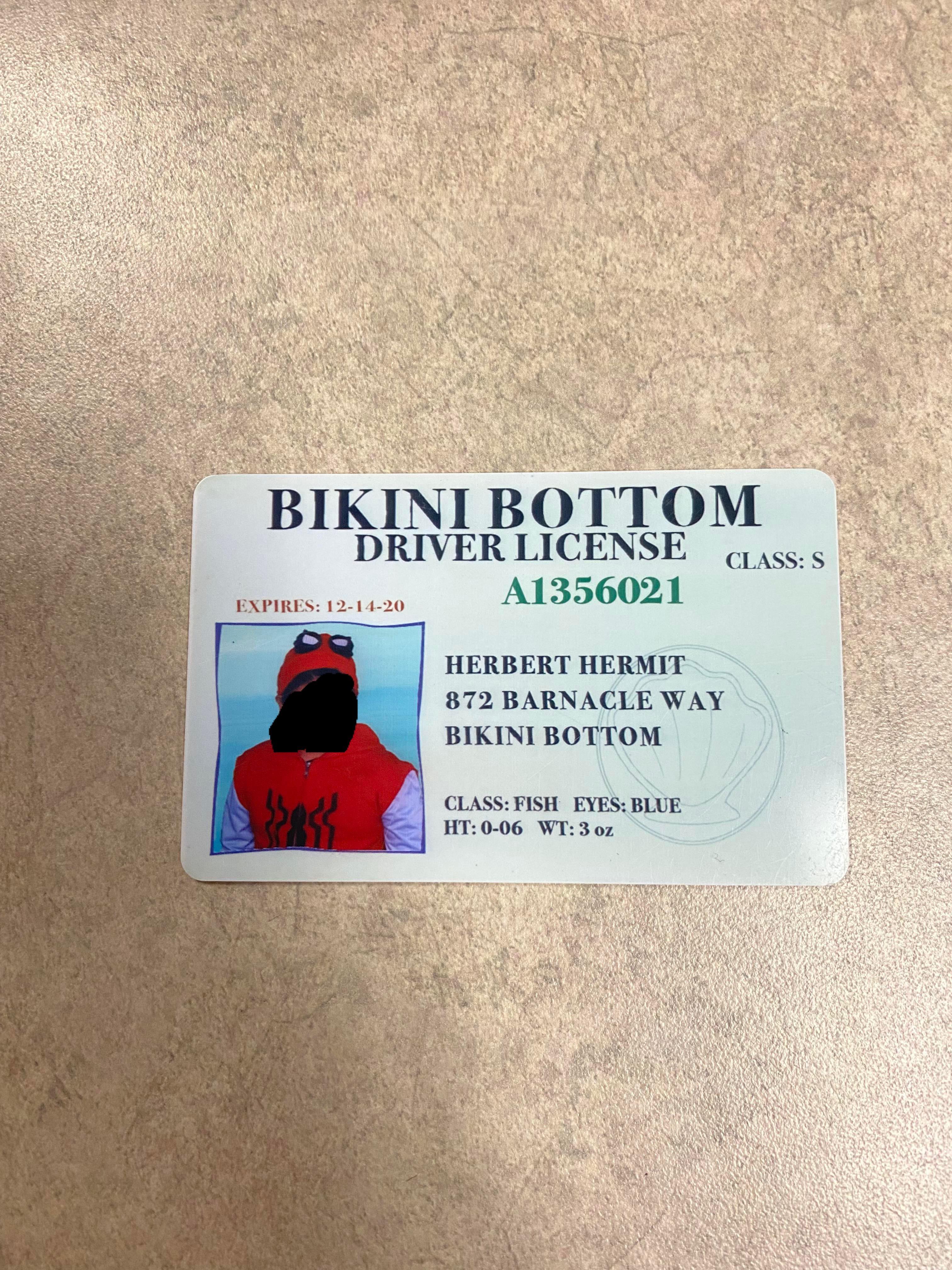 Guys I just got my drivers license, take that spongebob r/spongebob