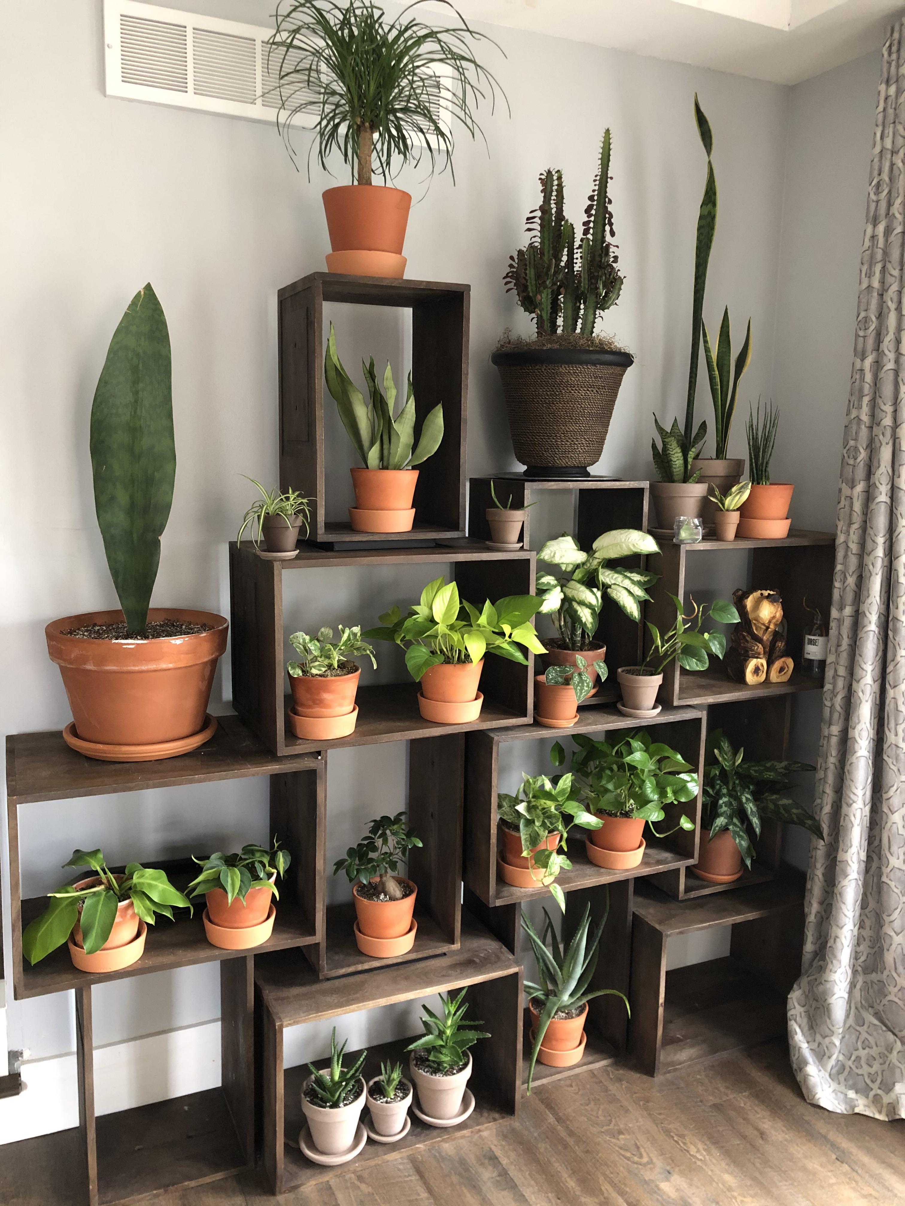 New shelving unit I just grabbed for my plants! Still plenty of room
