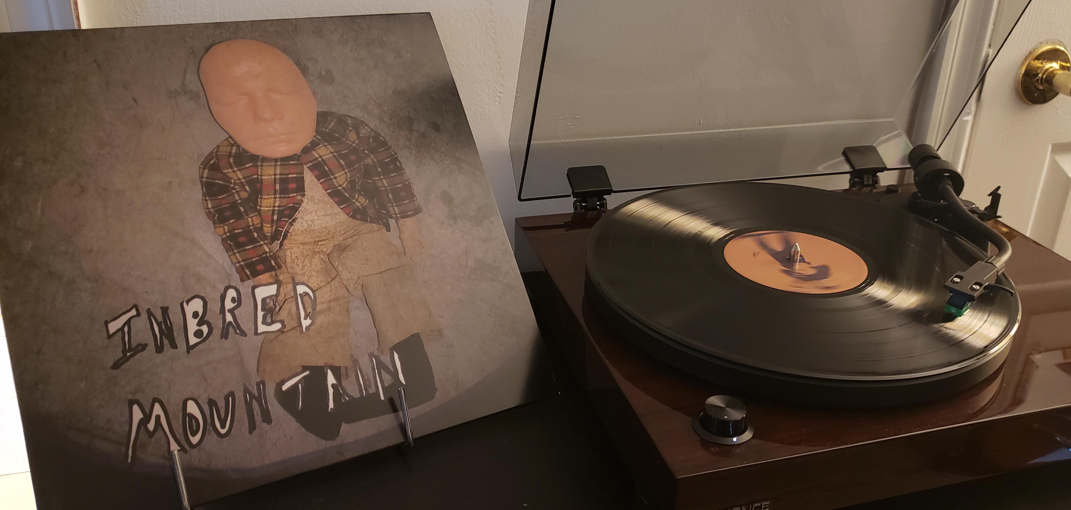 Buckethead Inbred Mountain. A legendary guitarist for those unfamiliar