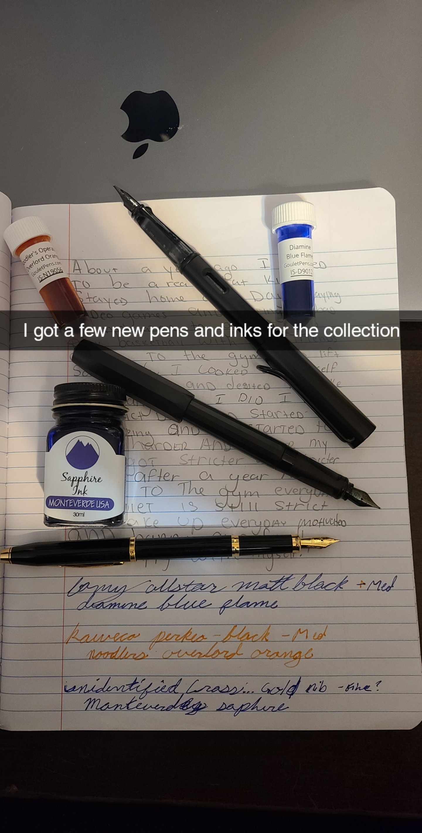 My order came in! Thanks Goulet Pen co. r/fountainpens