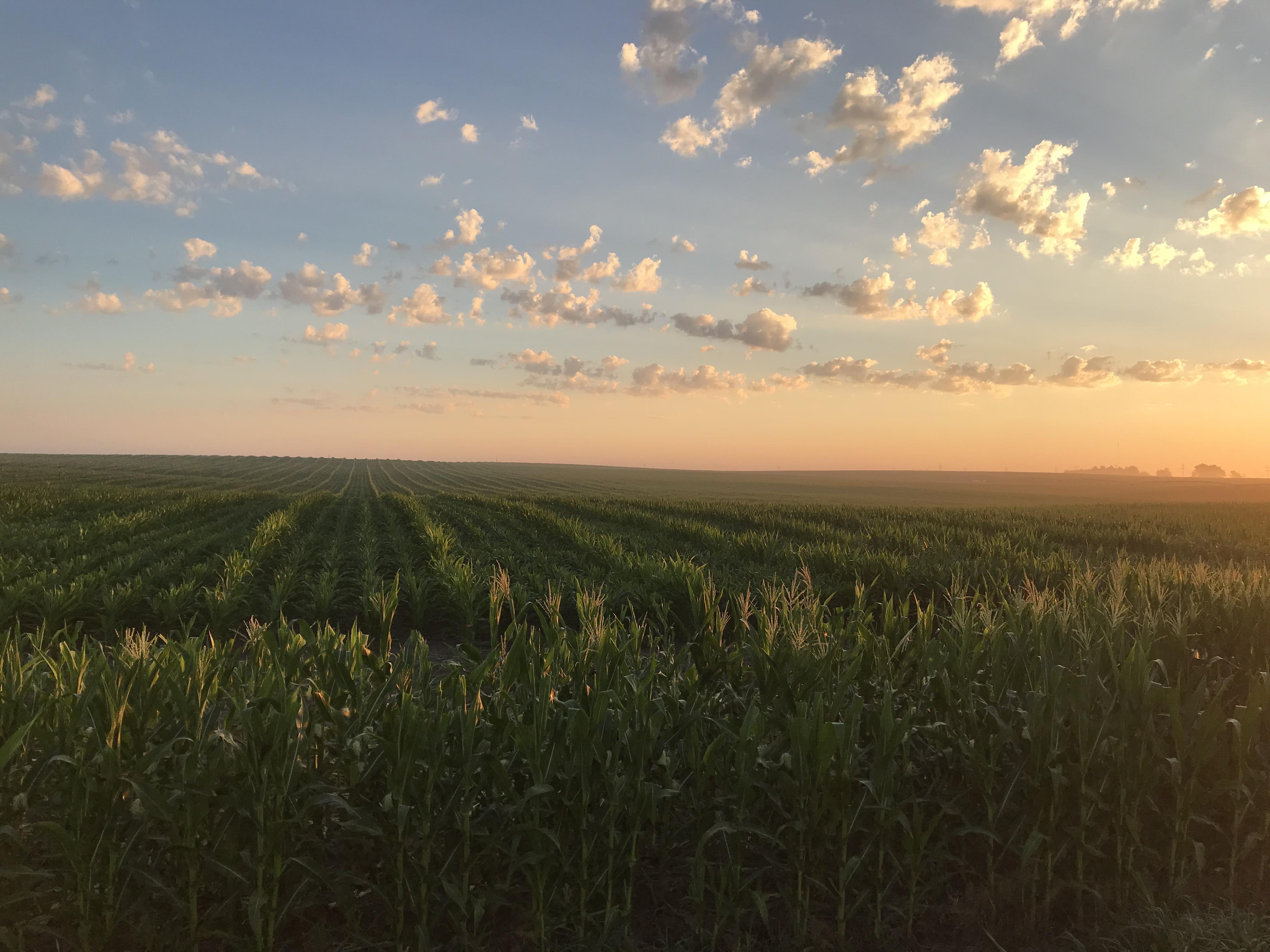 Fillmore County, Nebraska [OC] r/EarthPorn
