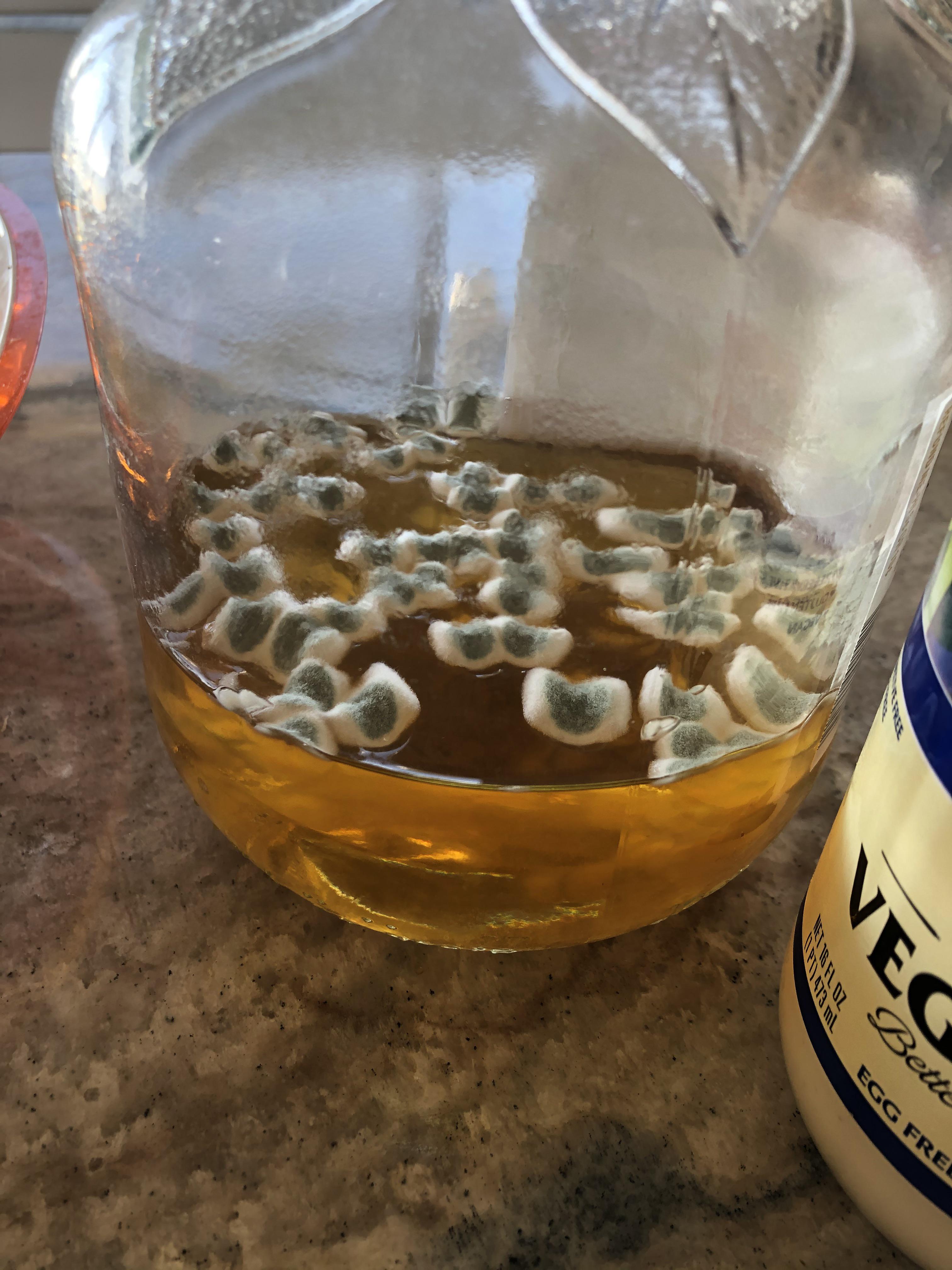 Any idea what fungus is floating atop my old apple juice? They’re rectangular and curling up