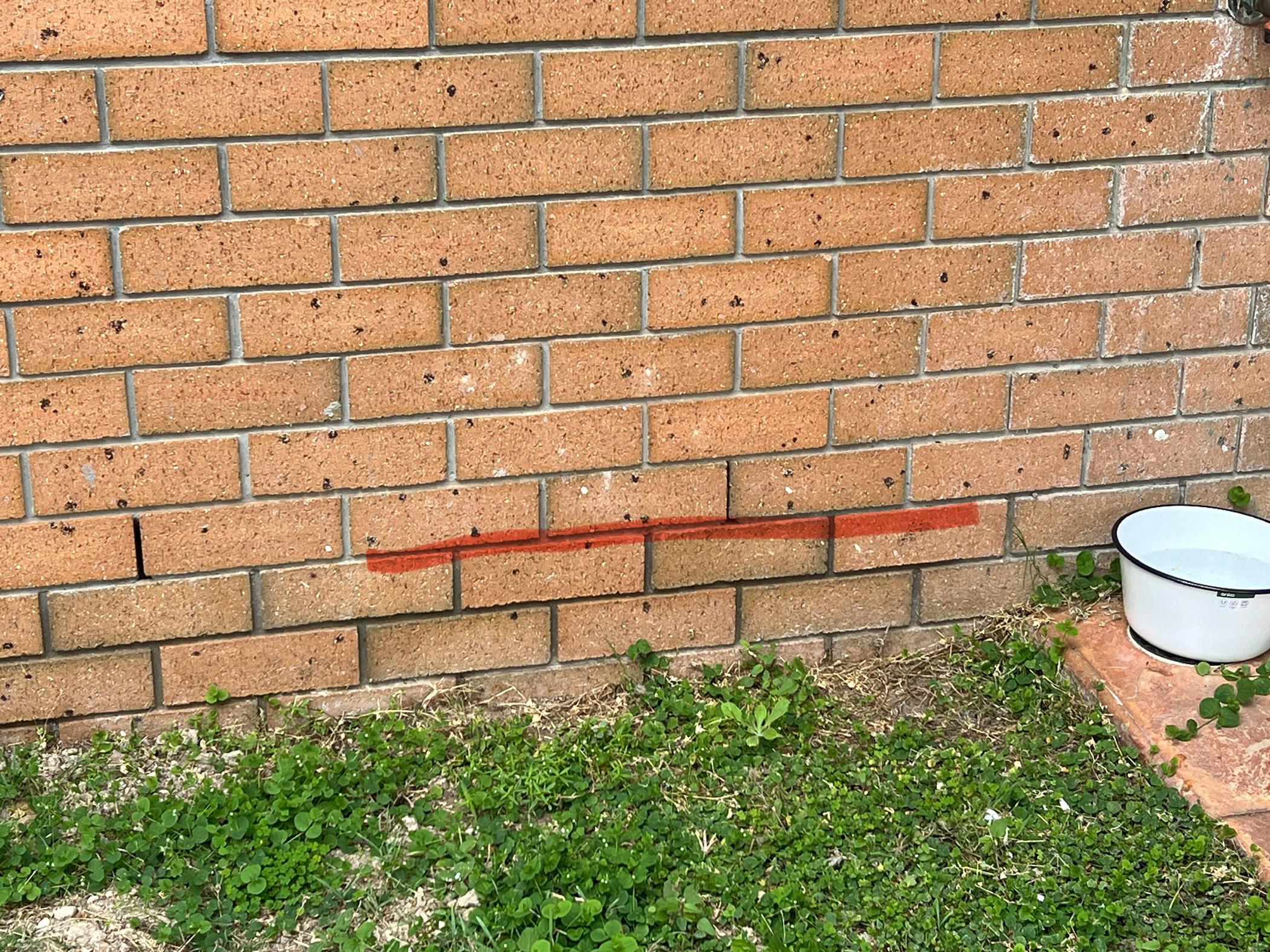 Why would the mortar on these two rows of bricks look wet constantly