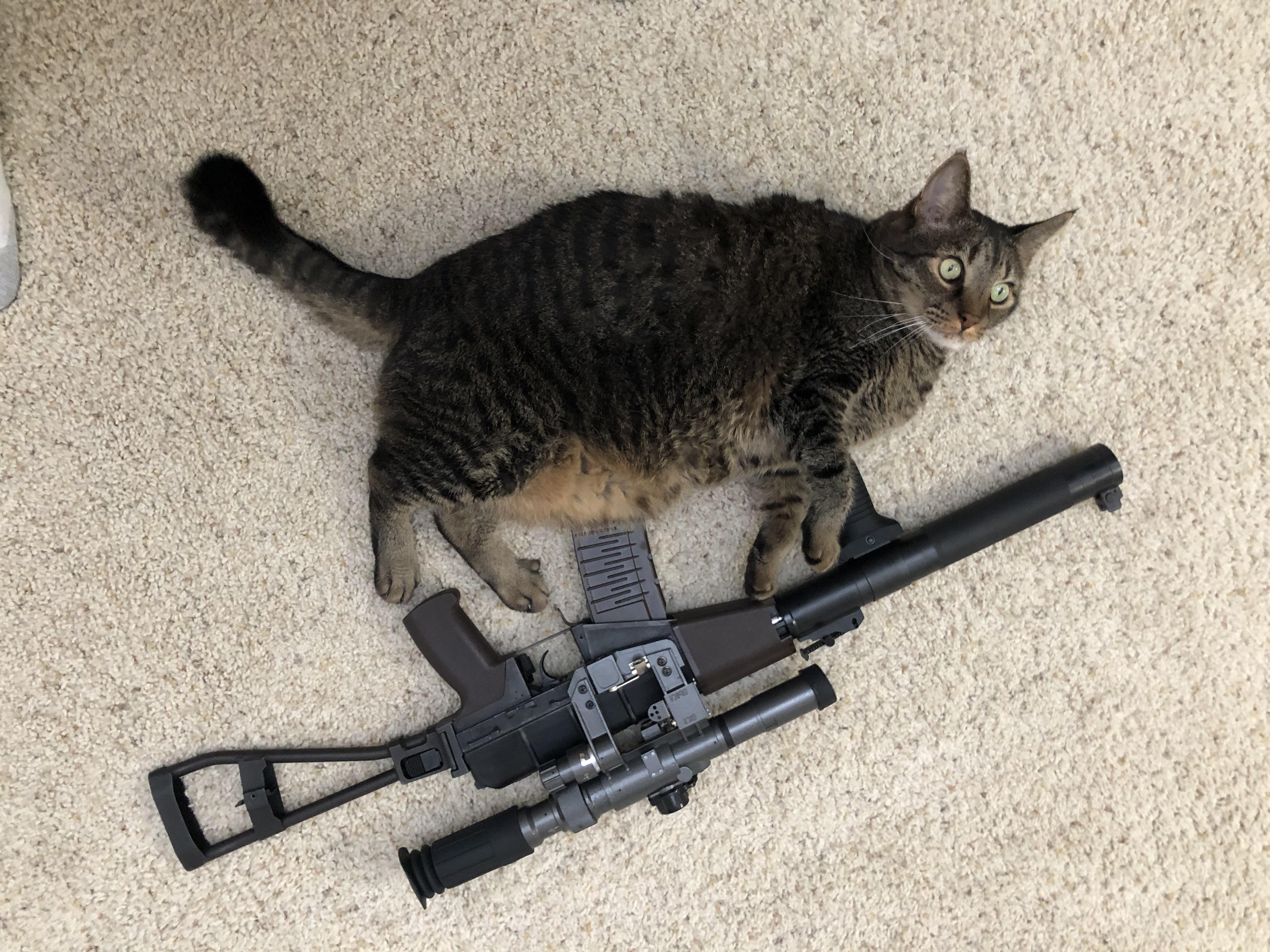 CAT SHOWN FOR SCALE PURPOSES ONLY r/airsoft