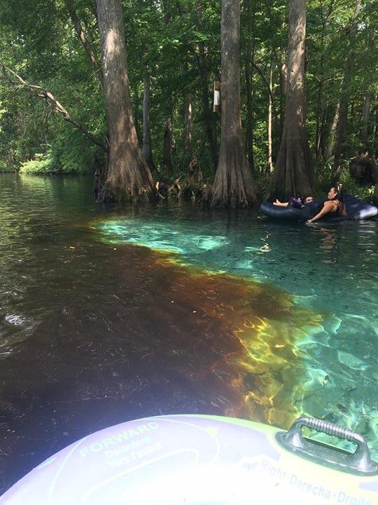 57 best Ginnie Springs images on Pholder Florida, Scuba and Pics
