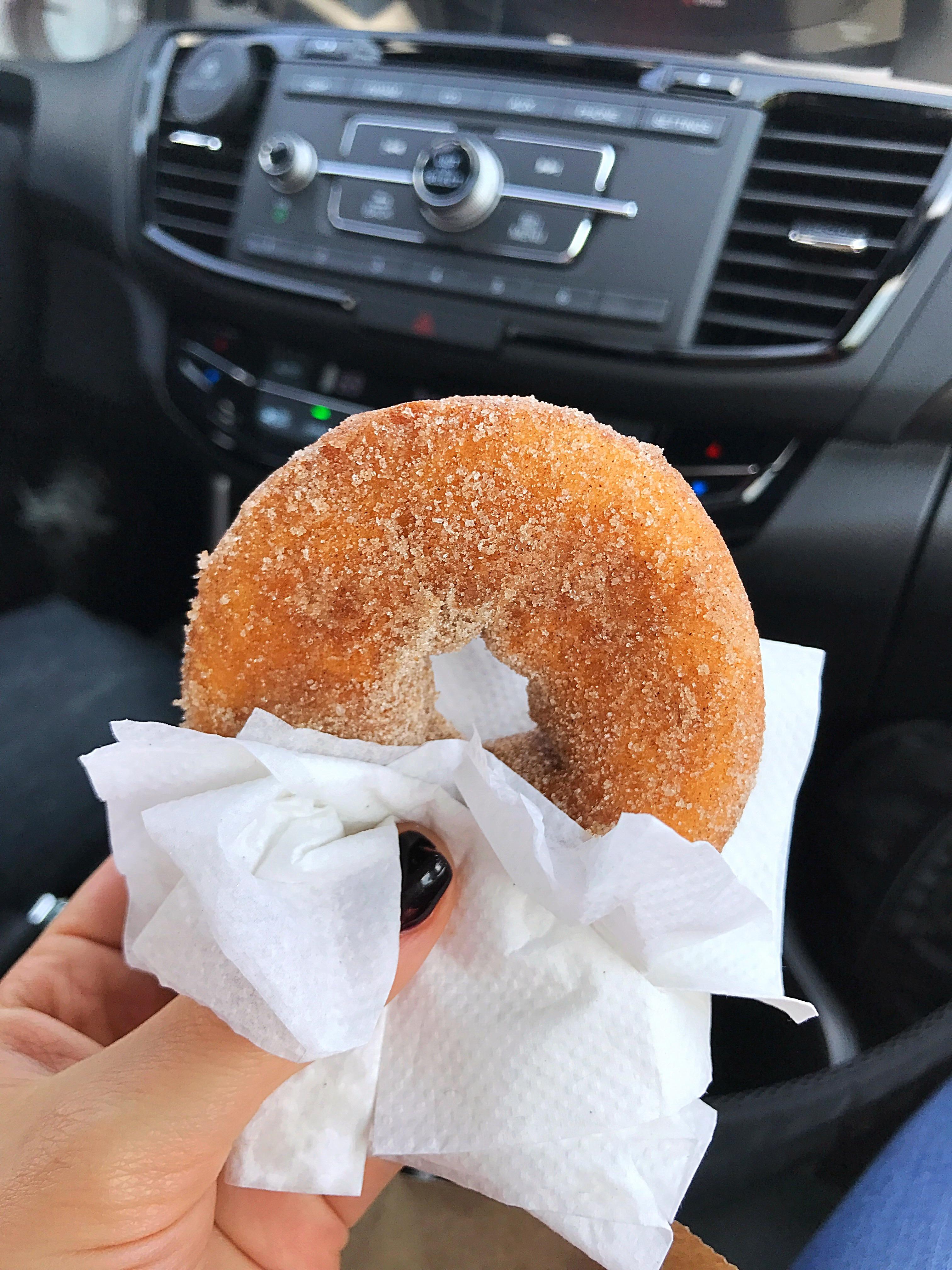 Warm, freshly baked apple cider donut. [960x960] r/FoodPorn