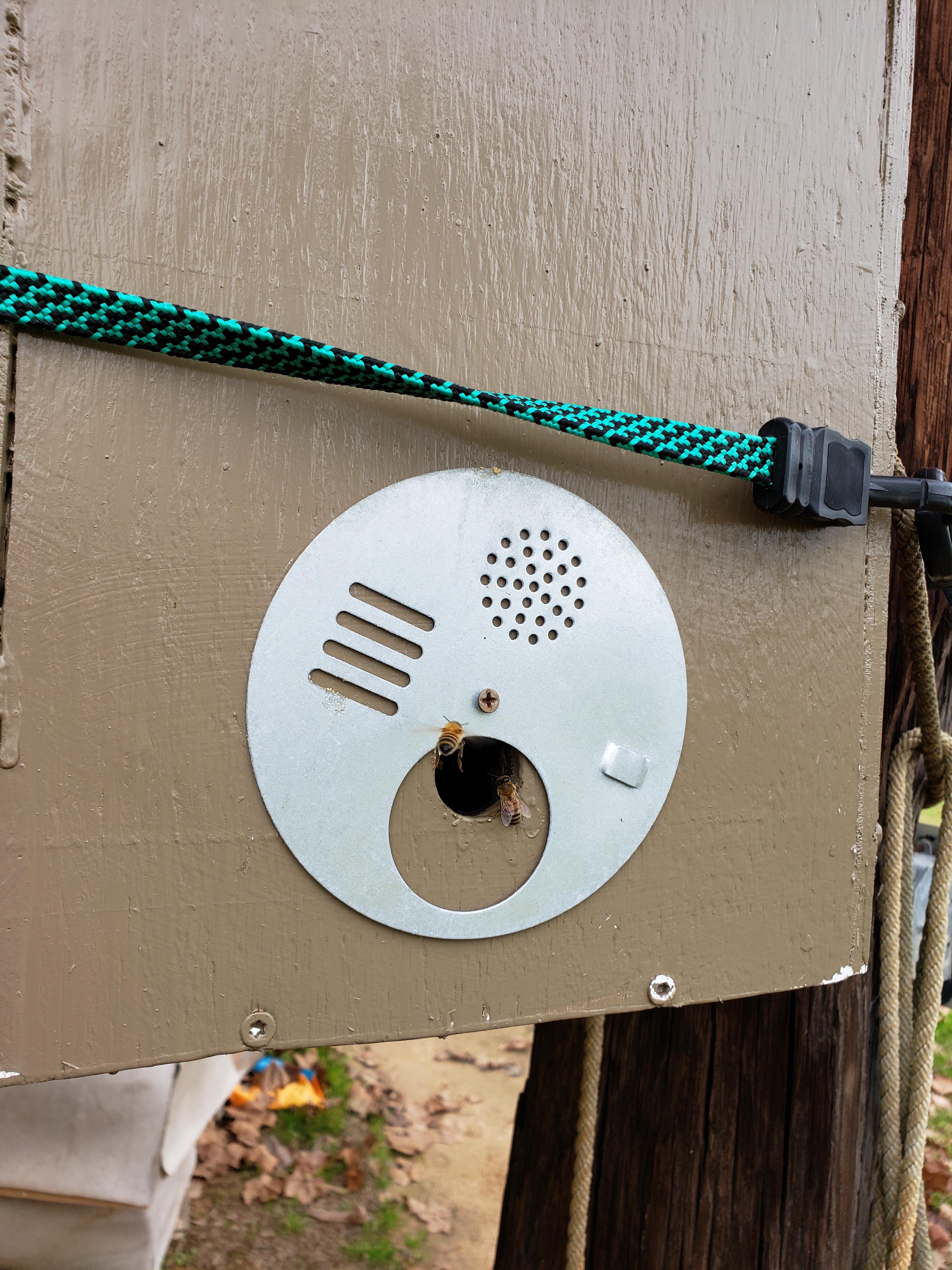 House Hunters (the bee side) r/Beekeeping