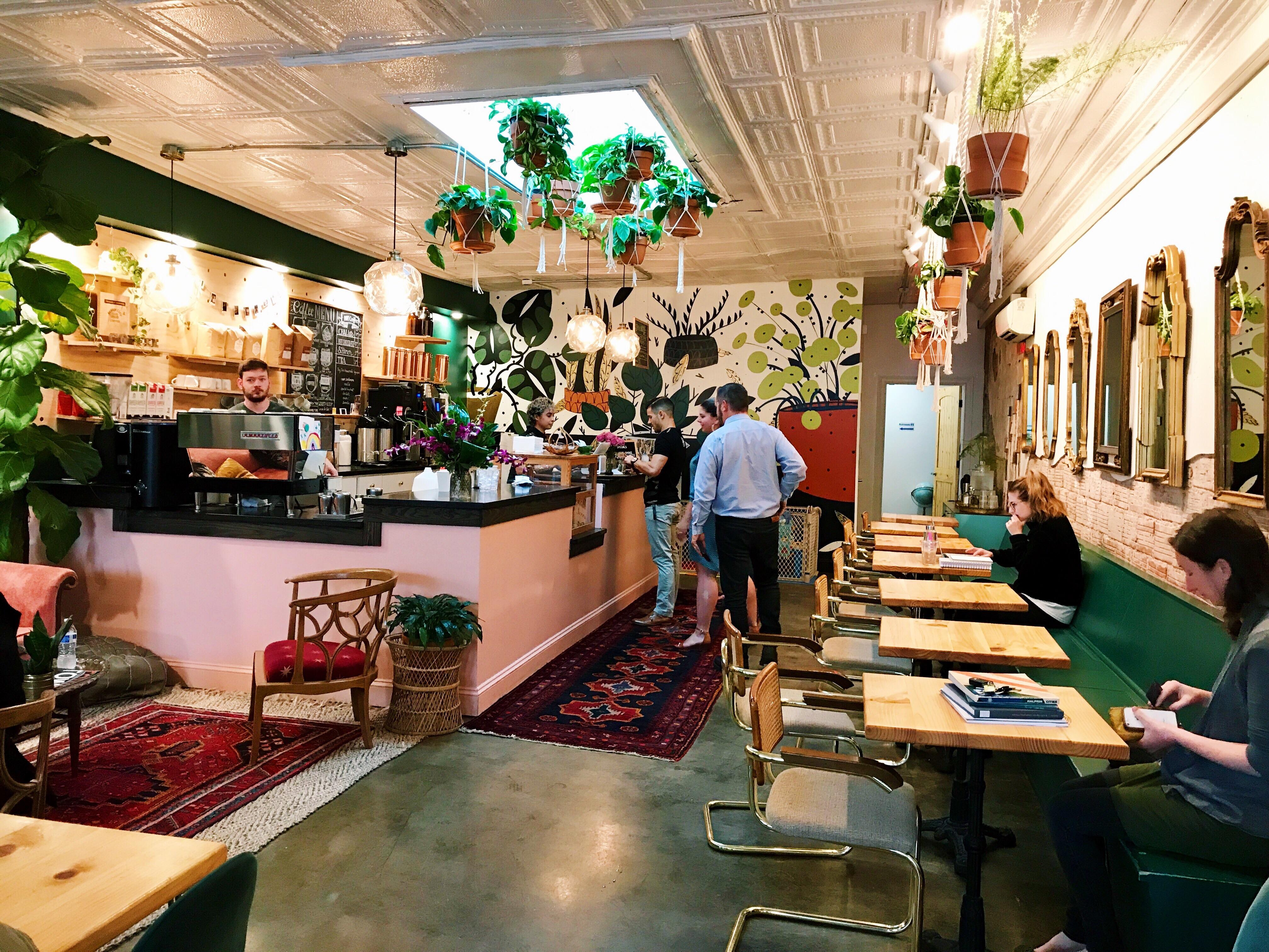 My Favorite Coffee Shop (Not pictured many, many more plants) r