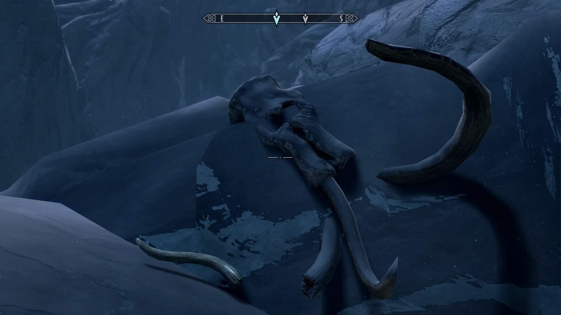 Never thought I'd find a mammoth tusk in situ with the skull from which