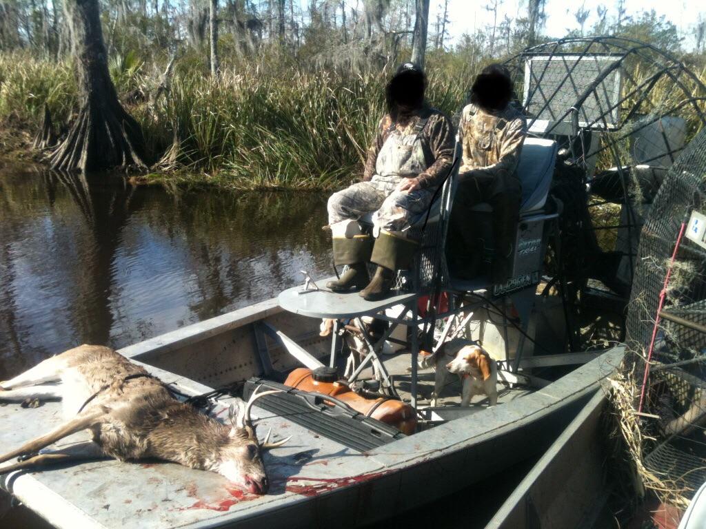 Louisiana swamps hunting with walker dogs. Some of the greatest