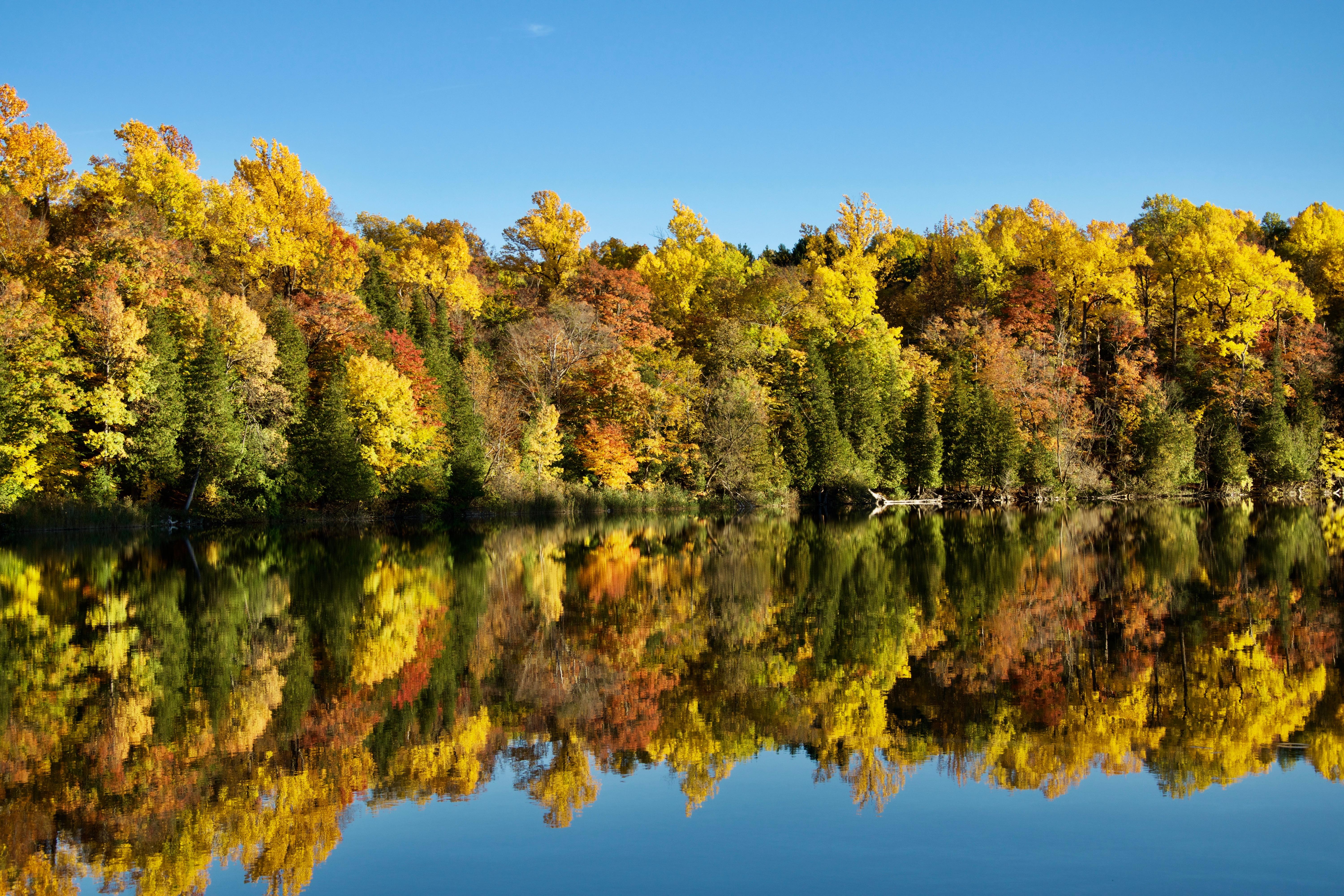 Autumn in Upstate NY. Green Lakes State park. [6000x4000] r