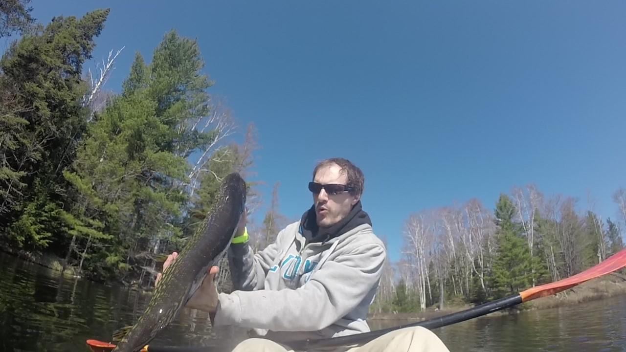 Fishing vinegar strokes are the best r/Fishing