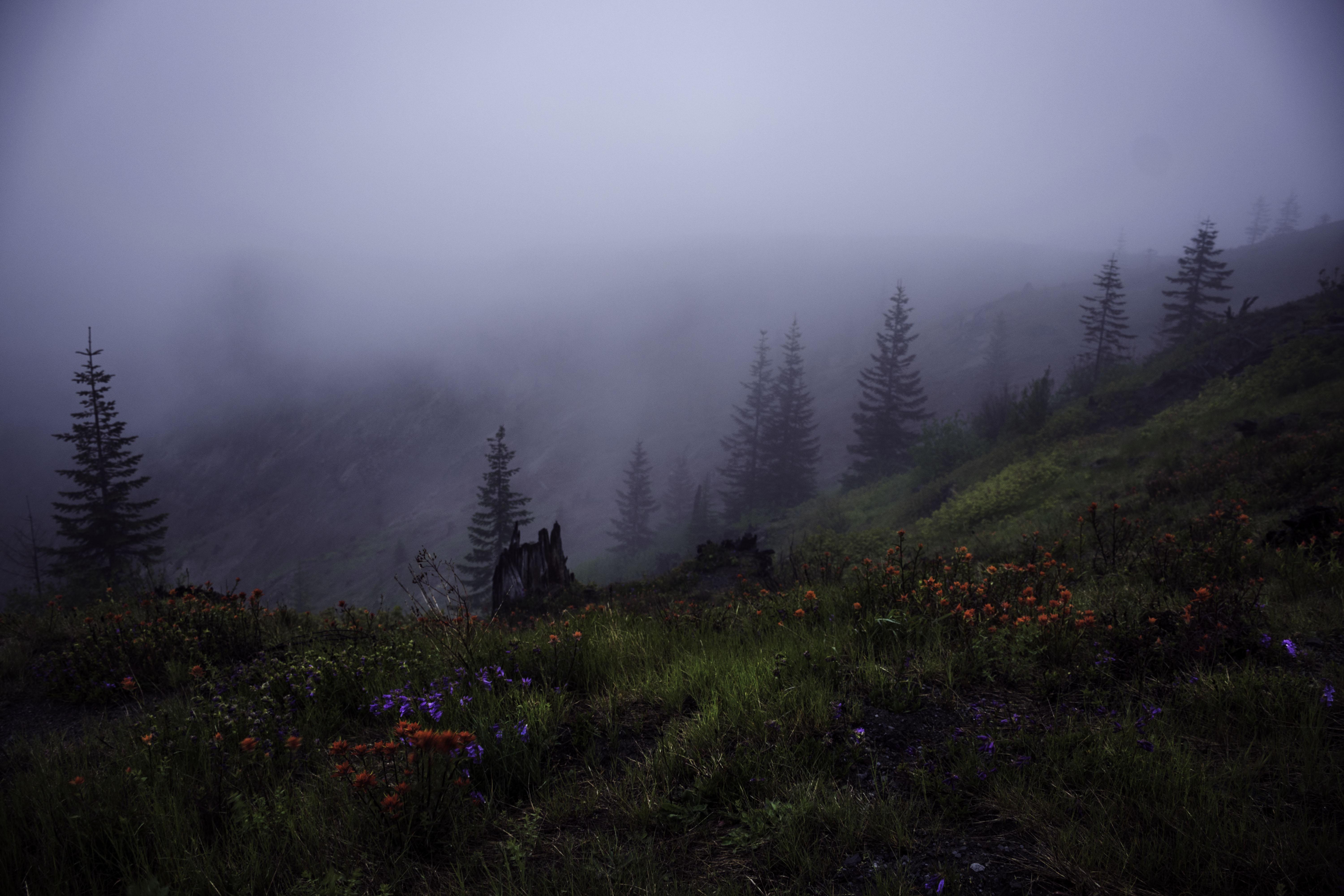 Moody atmosphere at Johnston Ridge Observatory near Mount St. Helens