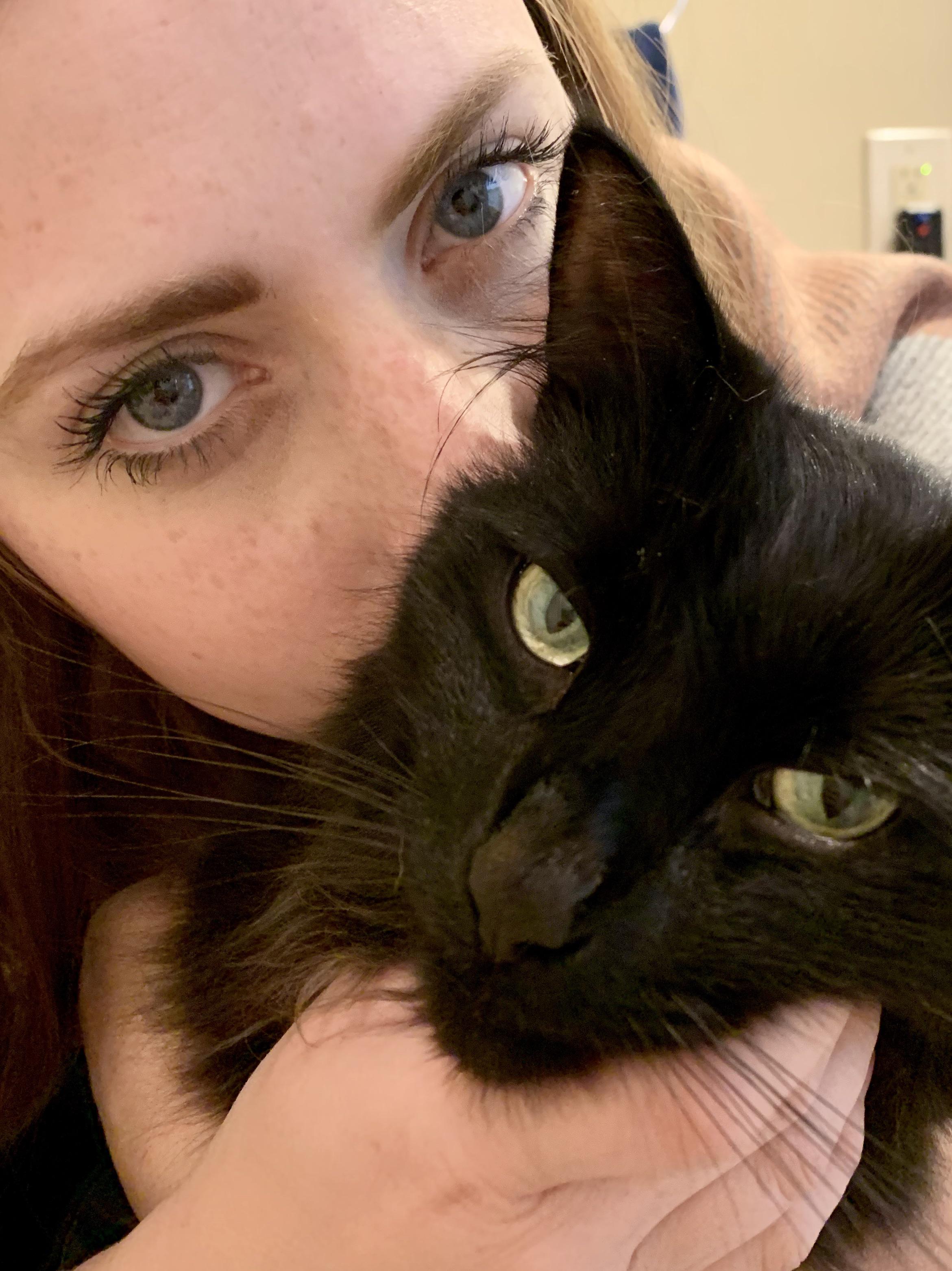 Do all cats smell like dryer sheets all the time or did I just get