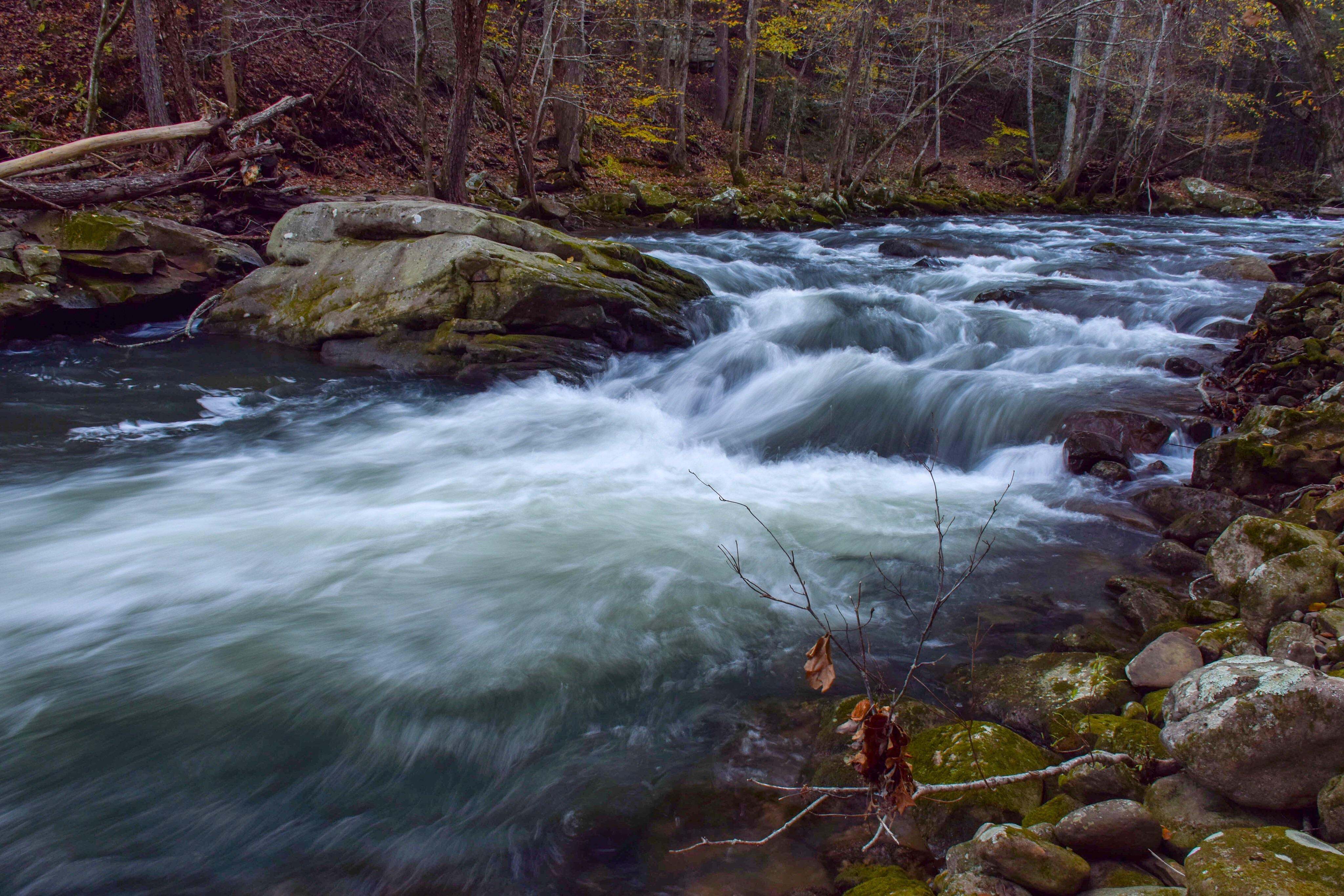 Roaring Creek in Graysville, TN r/Tennessee
