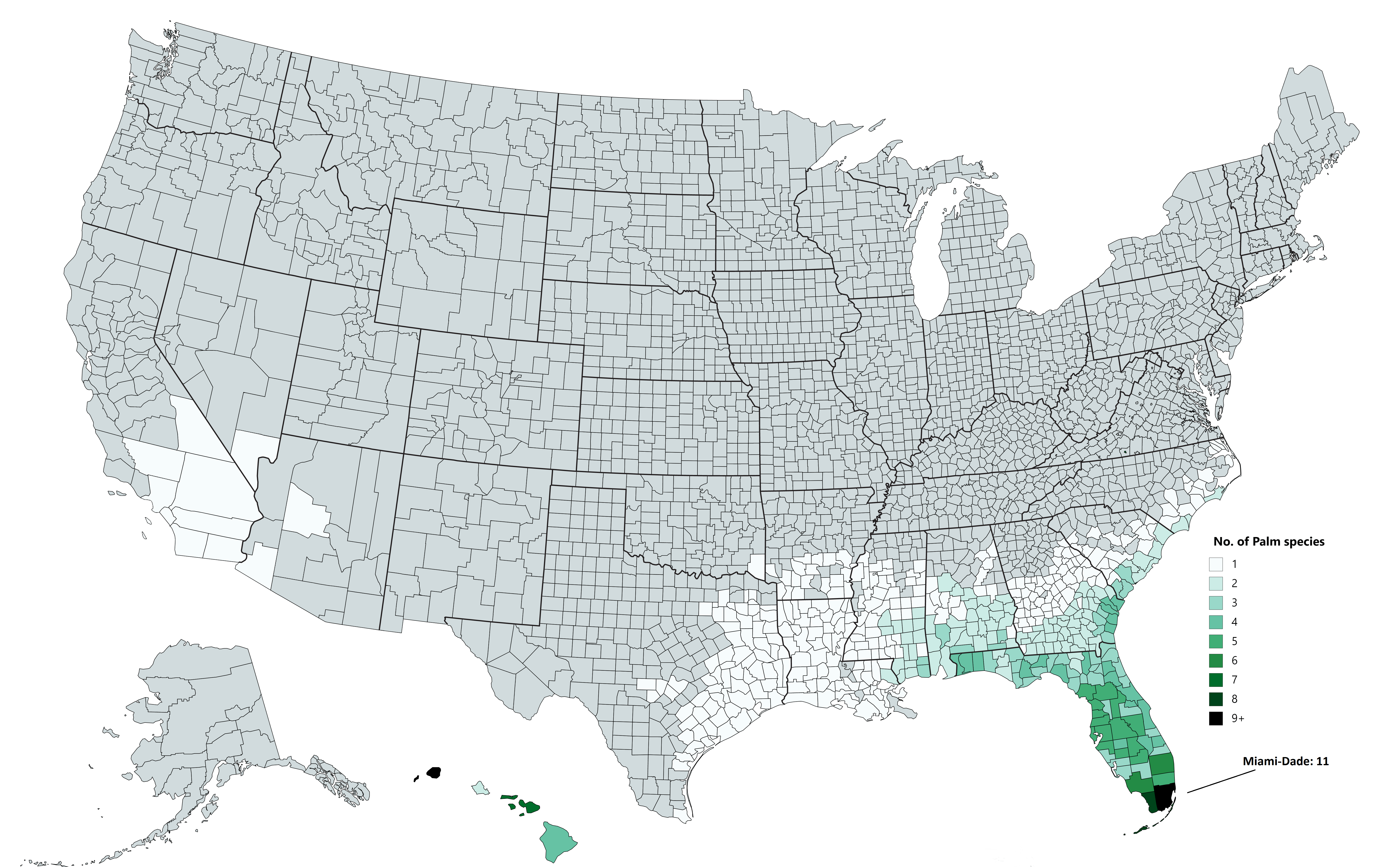 Number of native Palm species per US county [6900 x 4275] r/MapPorn
