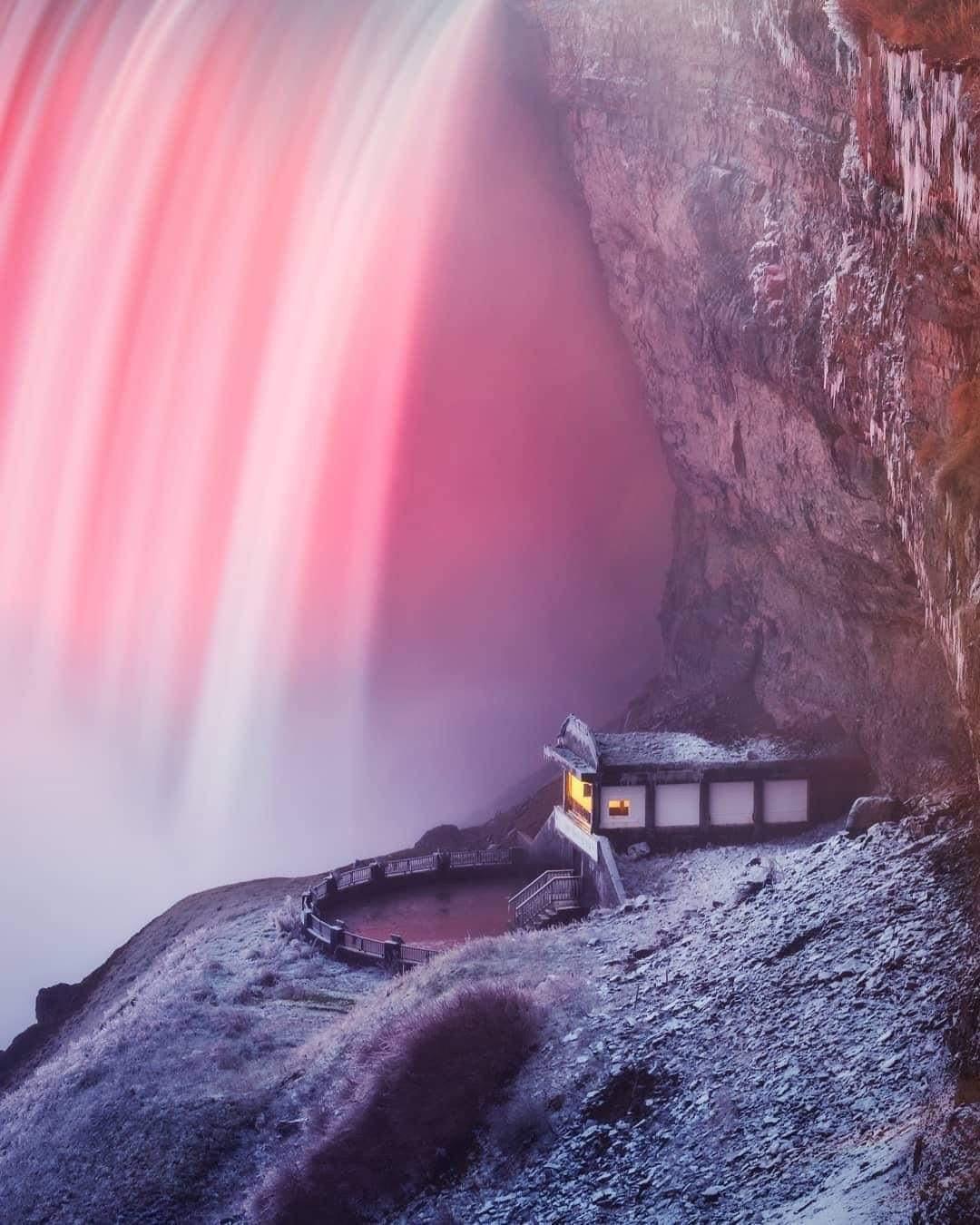 THE DREAMING PLACE ROSE GARDEN (Kimitsu) 2022.