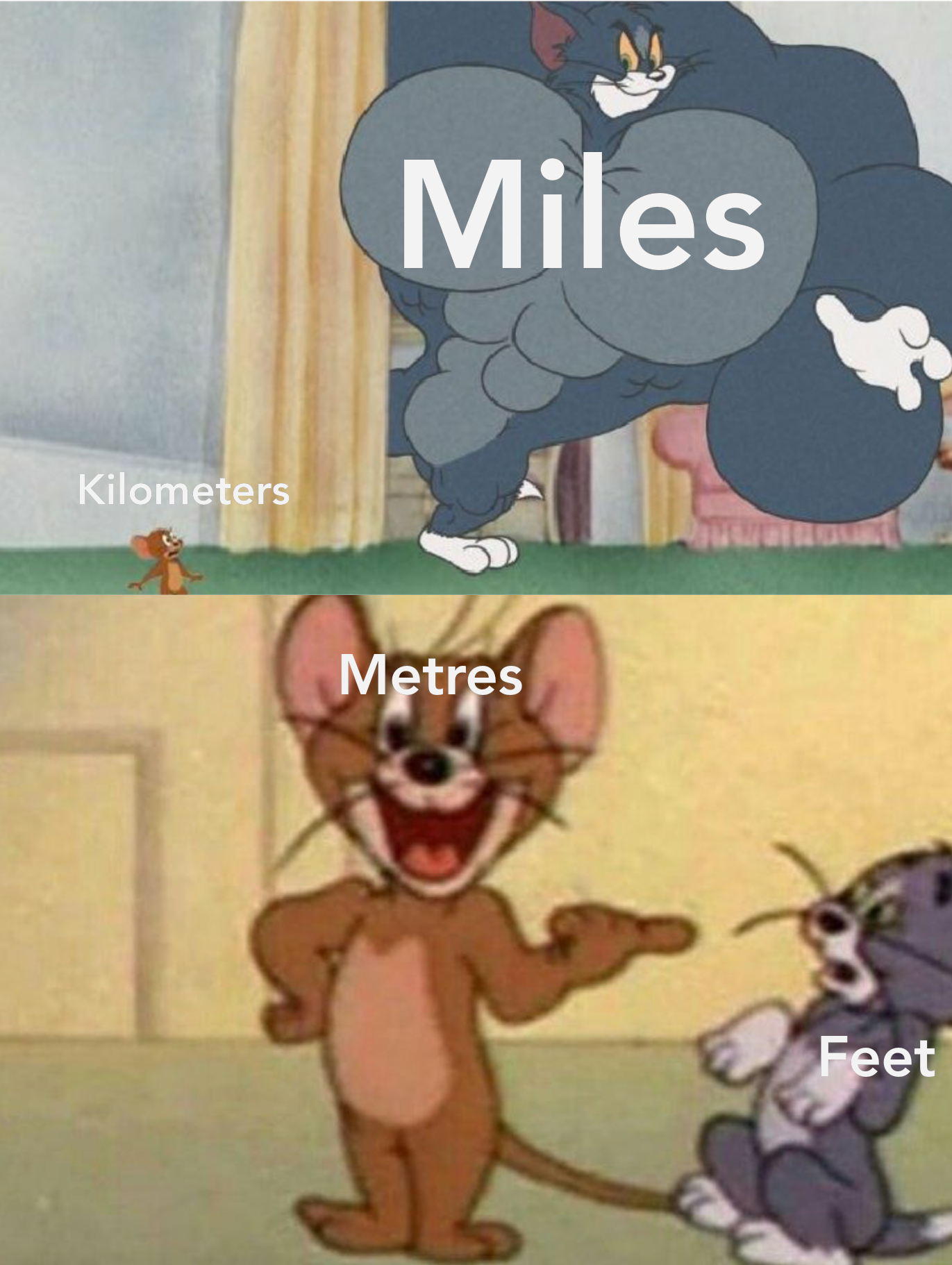 Size comparison r/memes