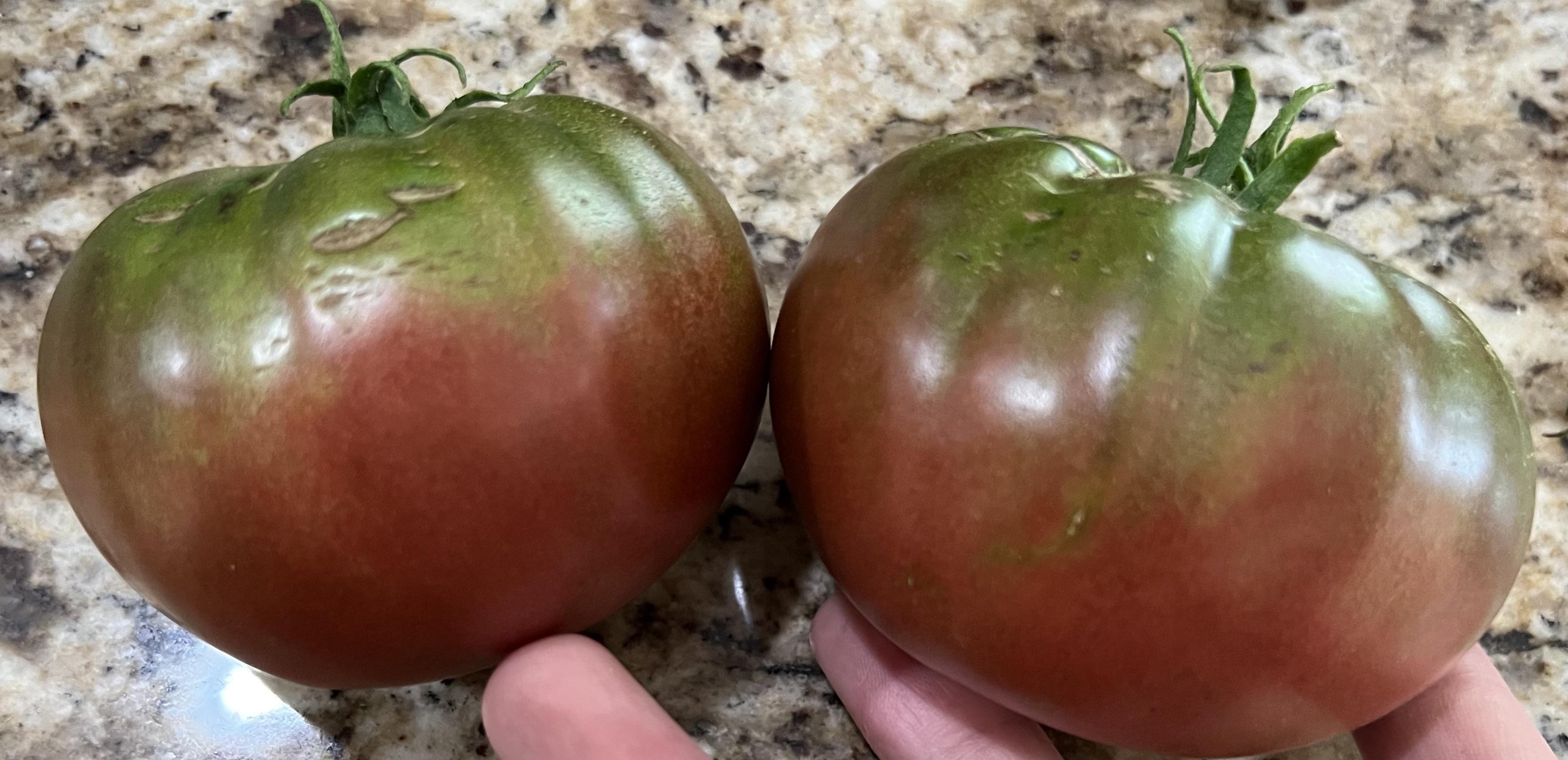 Can anyone tell me what variety these are? I planted both cherokee