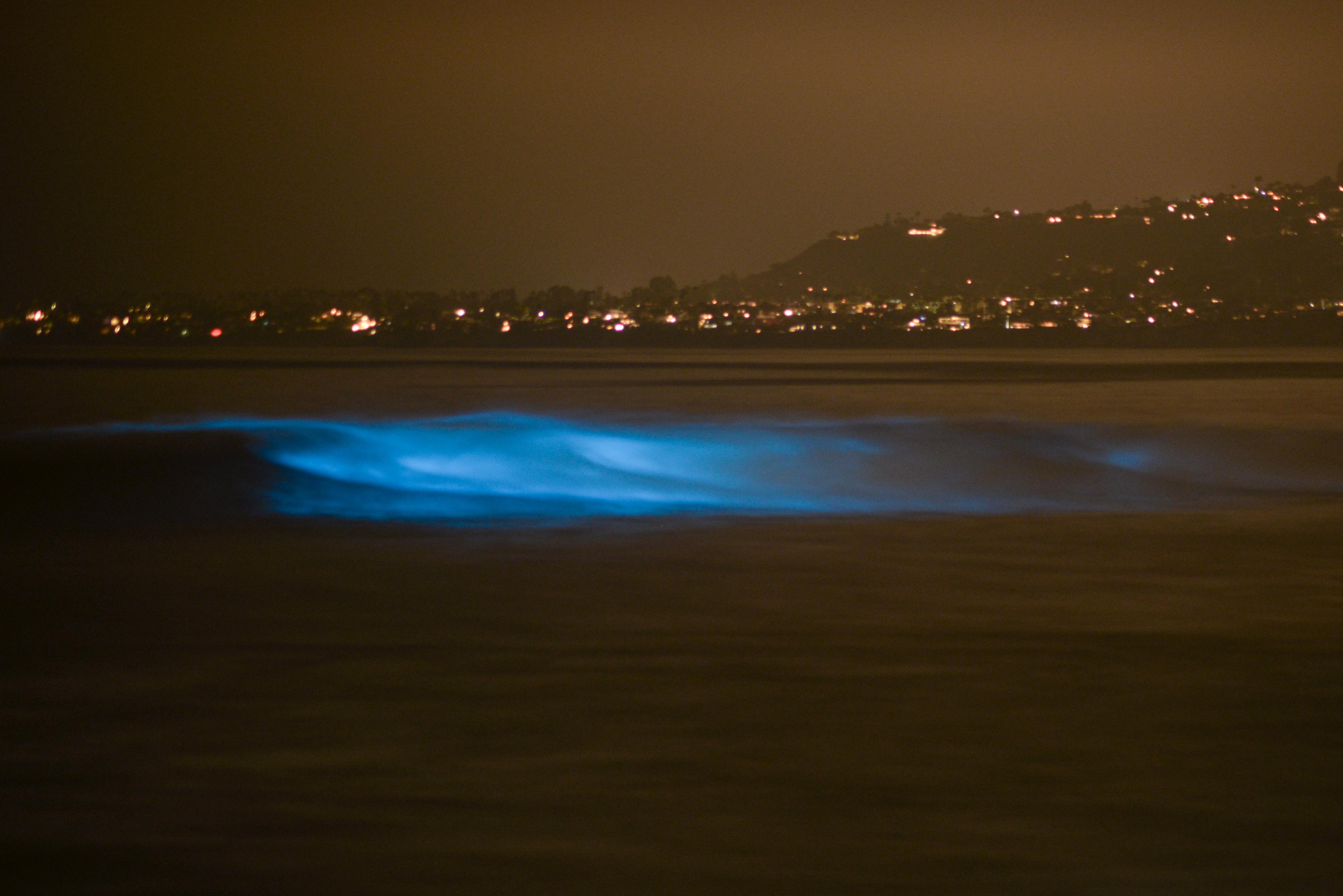 South Mission Beach is much less crowded than others r/sandiego
