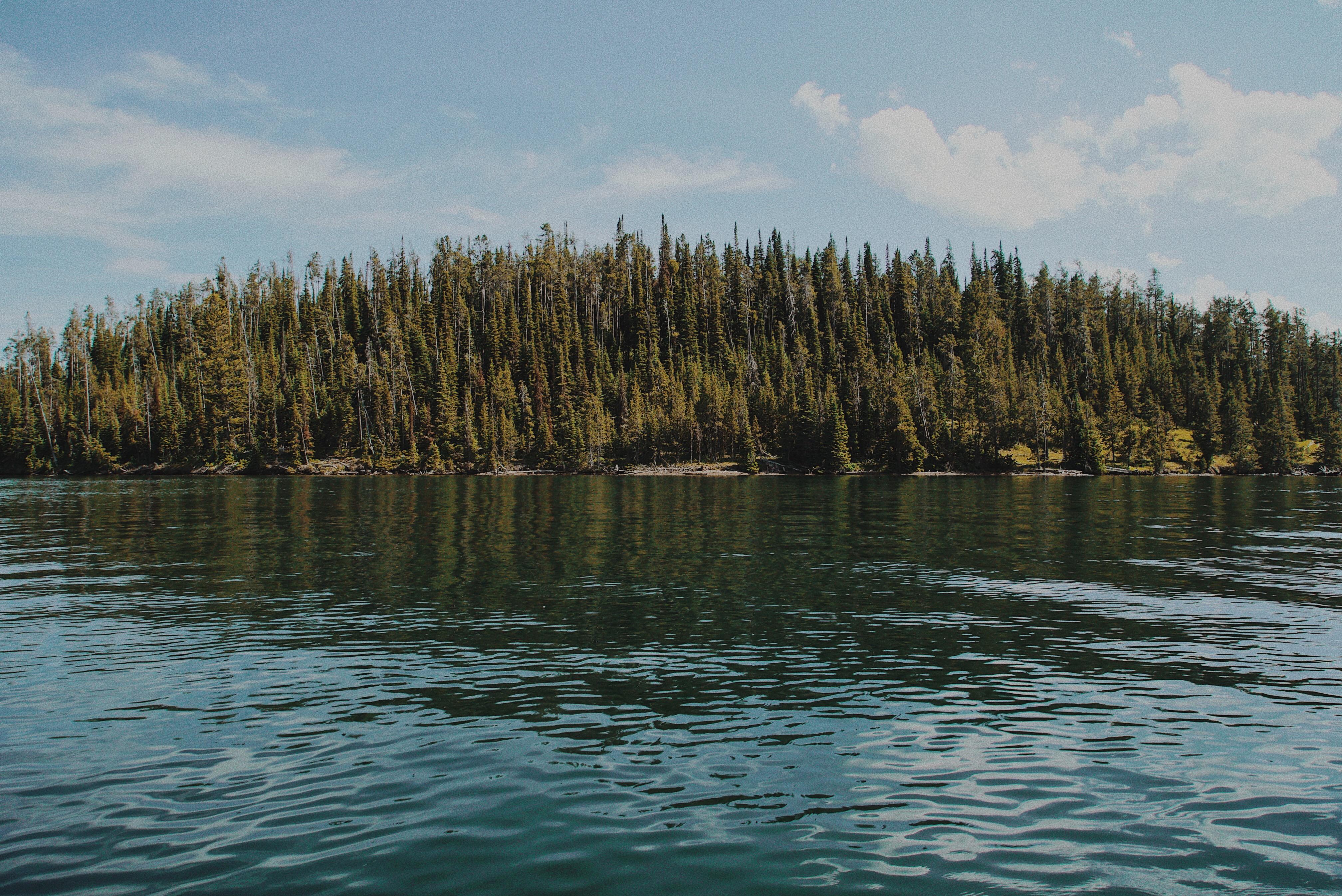 We drove from NJ to Grand Tetons National Park, I took this on the