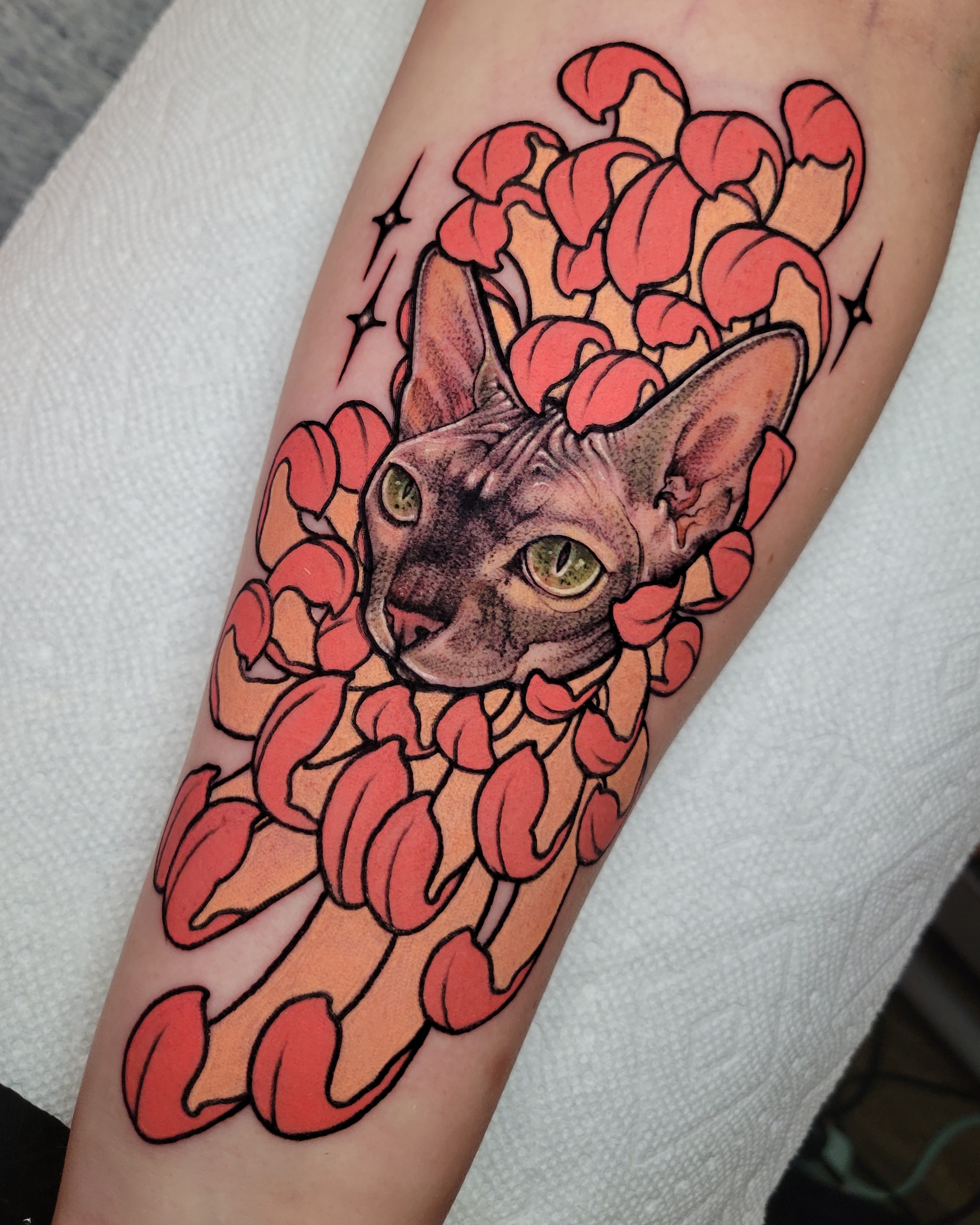 Raisin kitty tattoo PaymoneyWubby