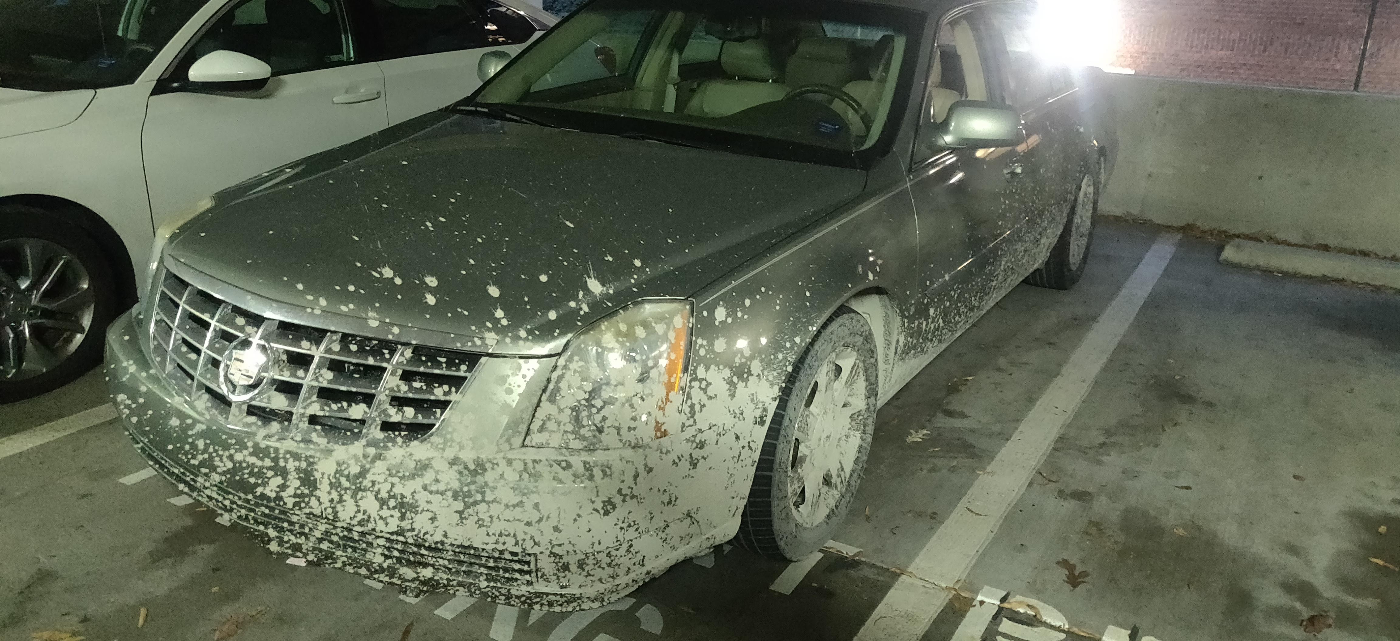 [Request] How to get this concrete off my car? Got splashed on the