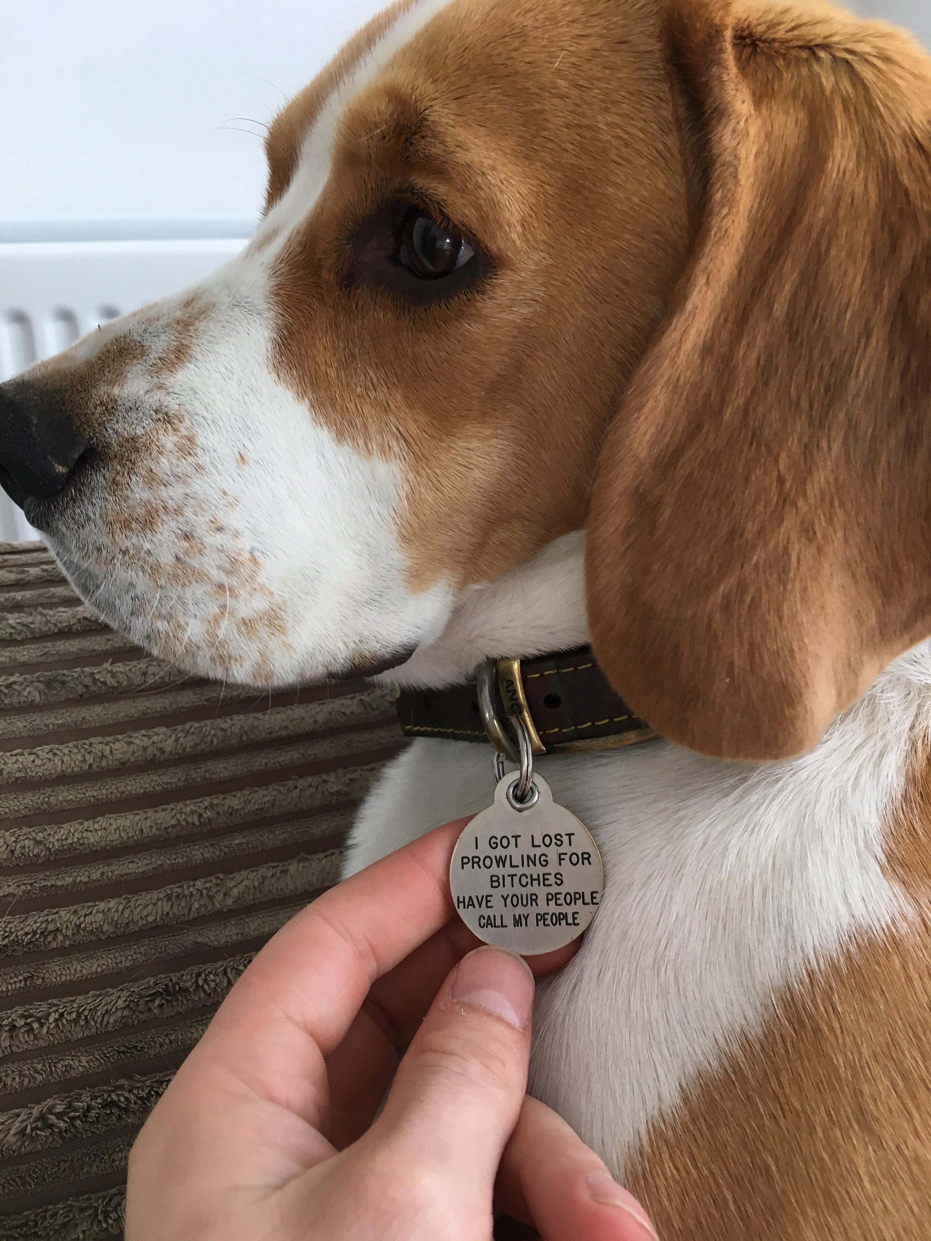 So we got our dog a new name tag... r/aww