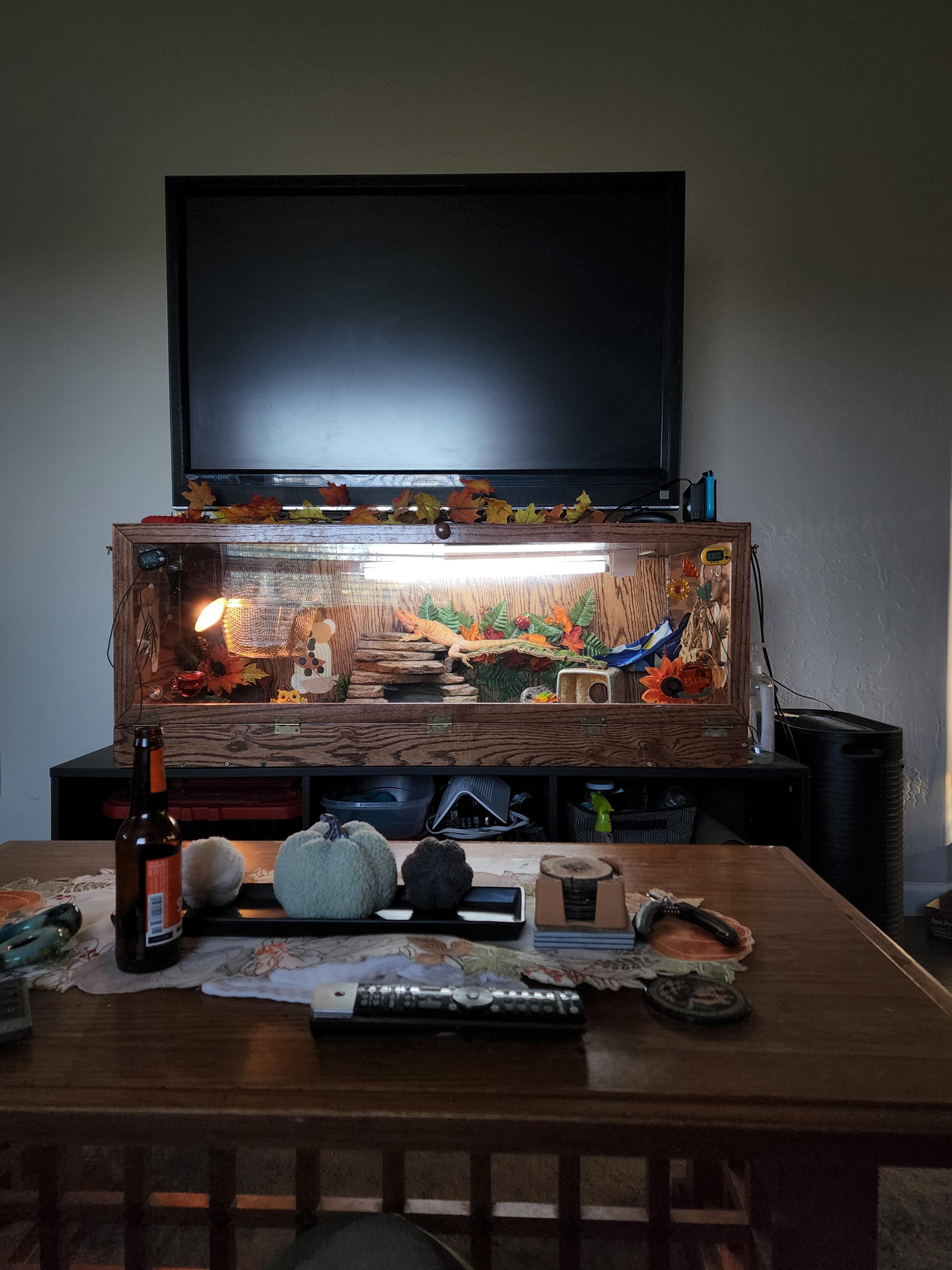 Terrarium TV stand too high r/TVTooHigh