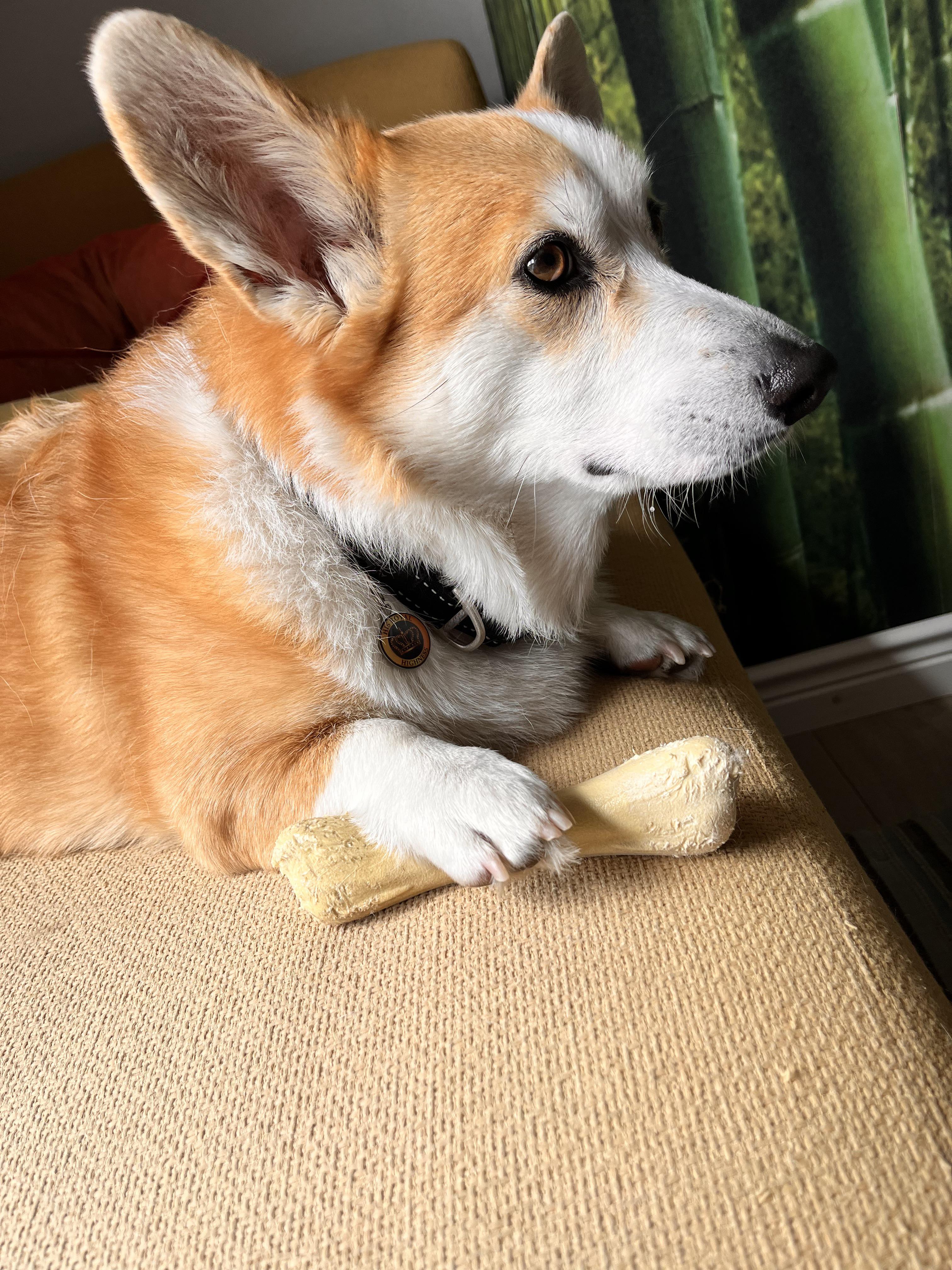 Protecting his property