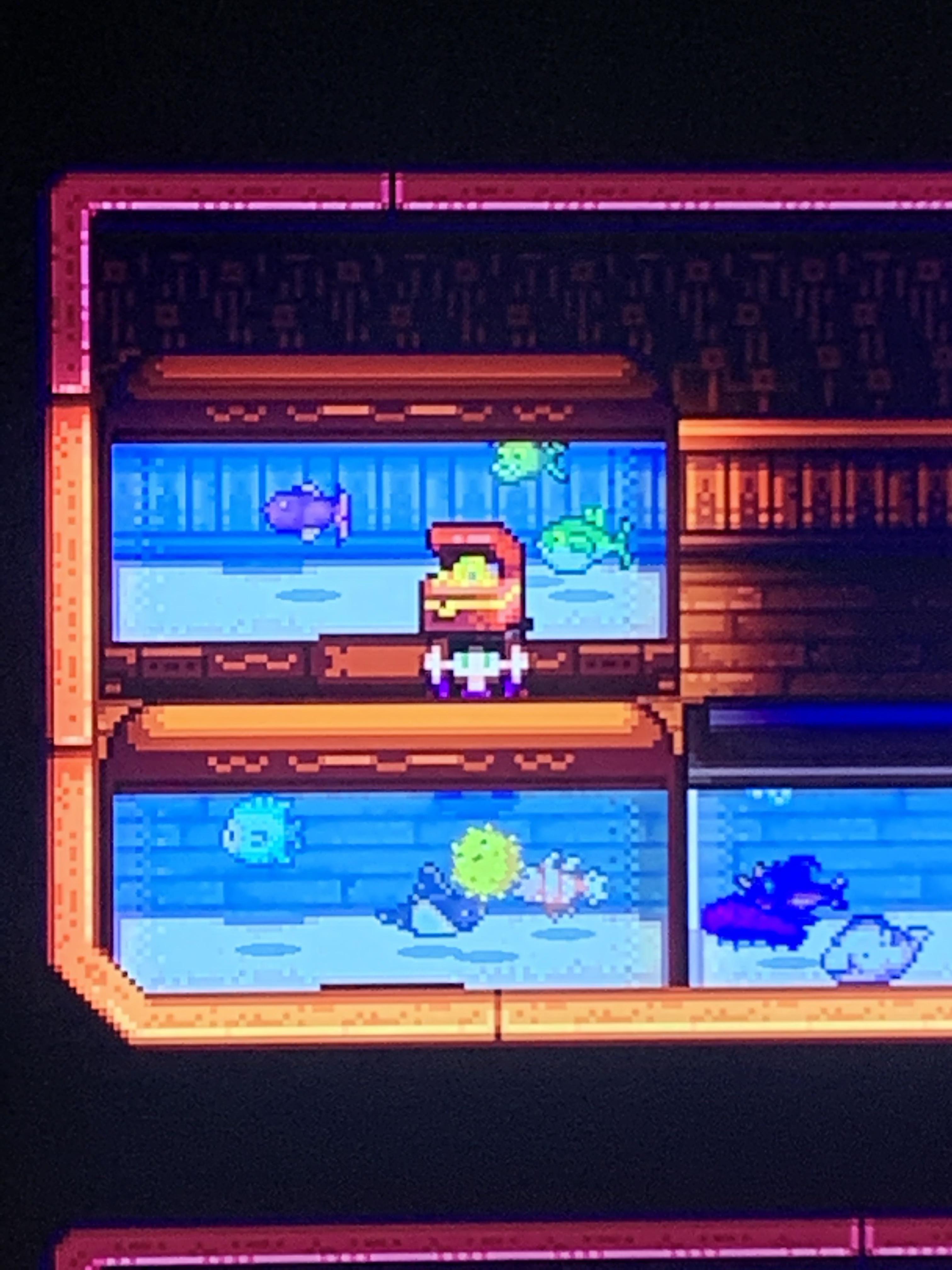 stardew valley is not finished until i can put treasure chests in my