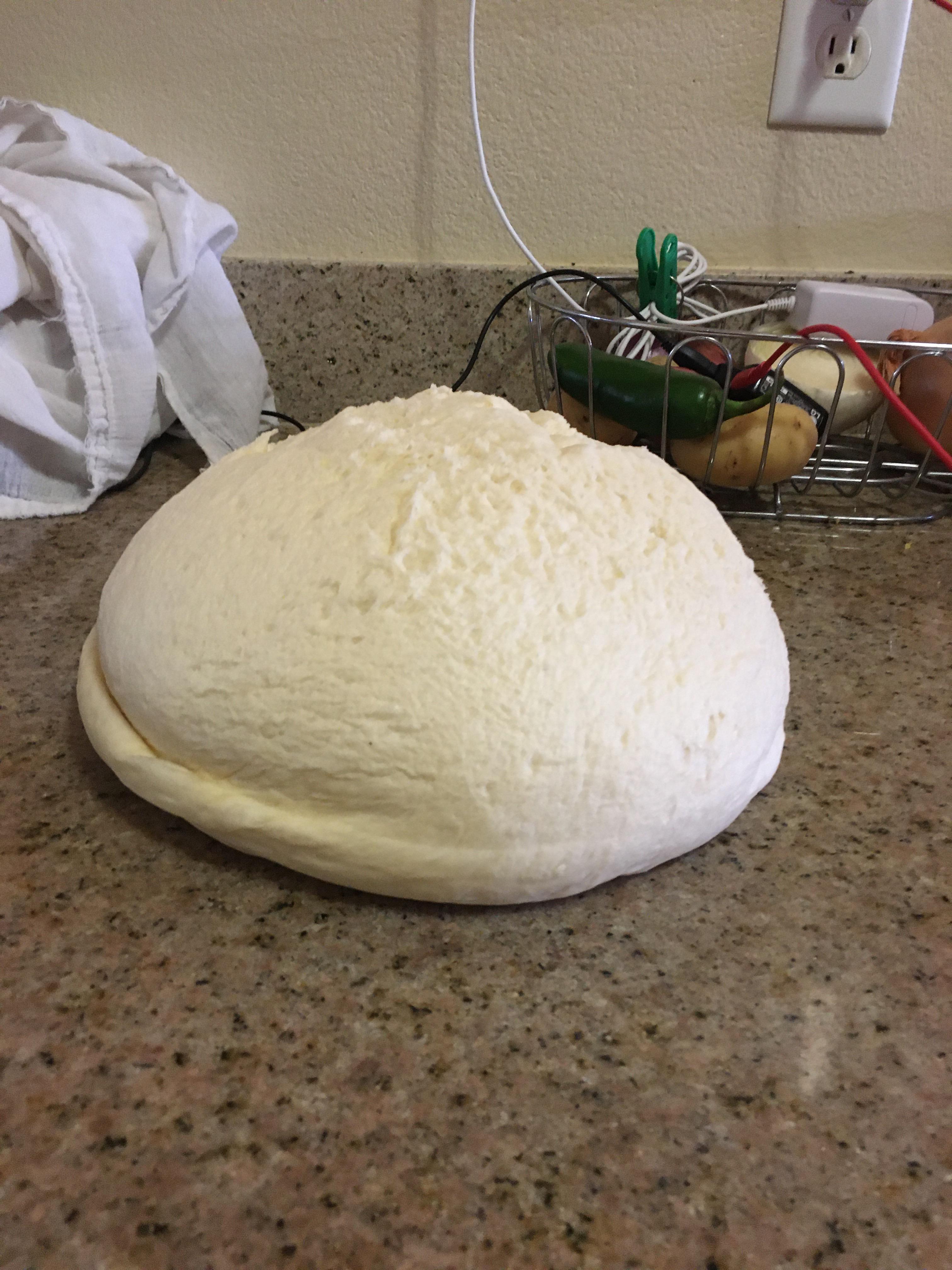 Milk bread dough after the first rise r/Breadit