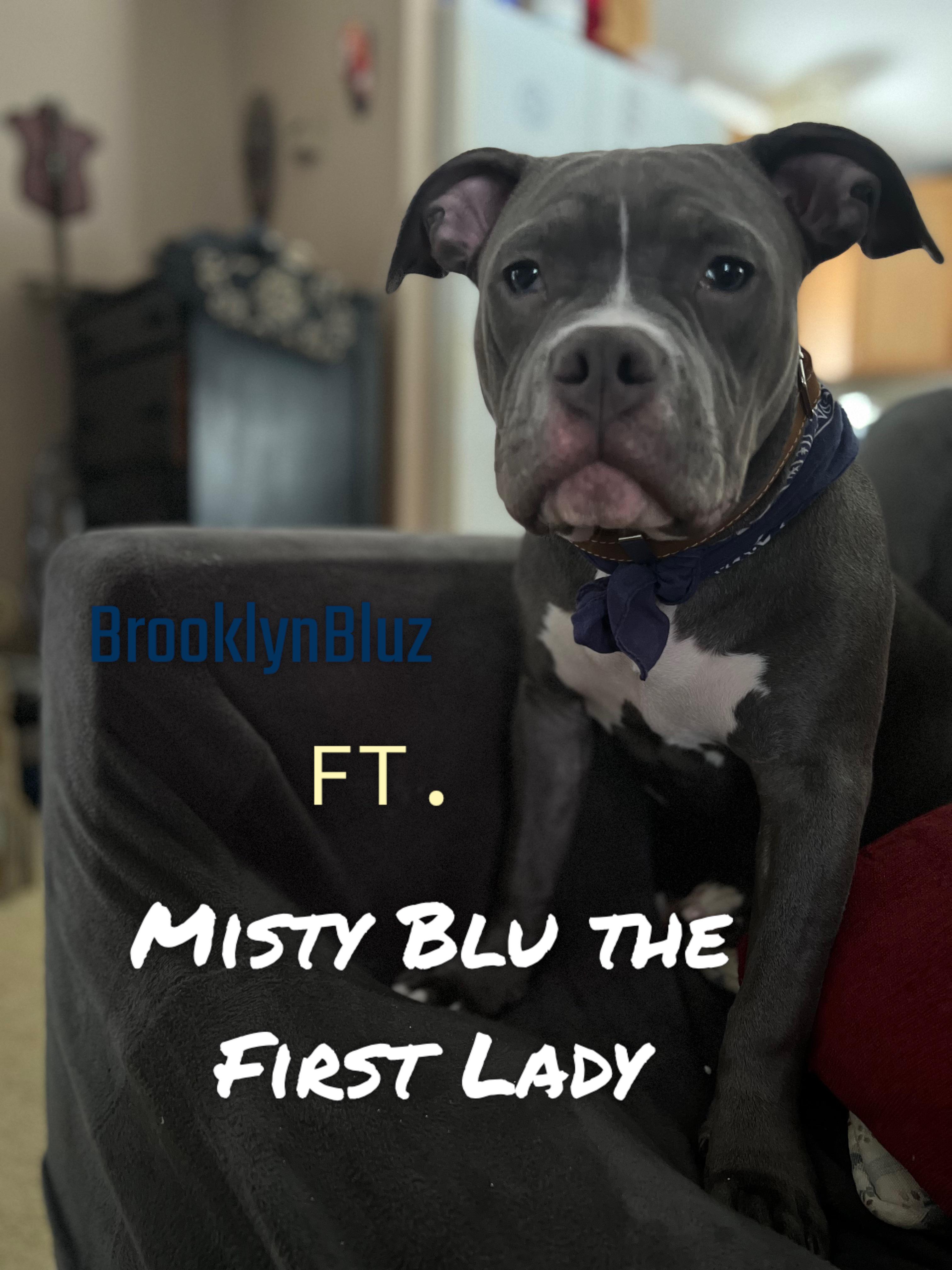 The First Lady of Brooklyn Bluz Kennels r/AmericanBully