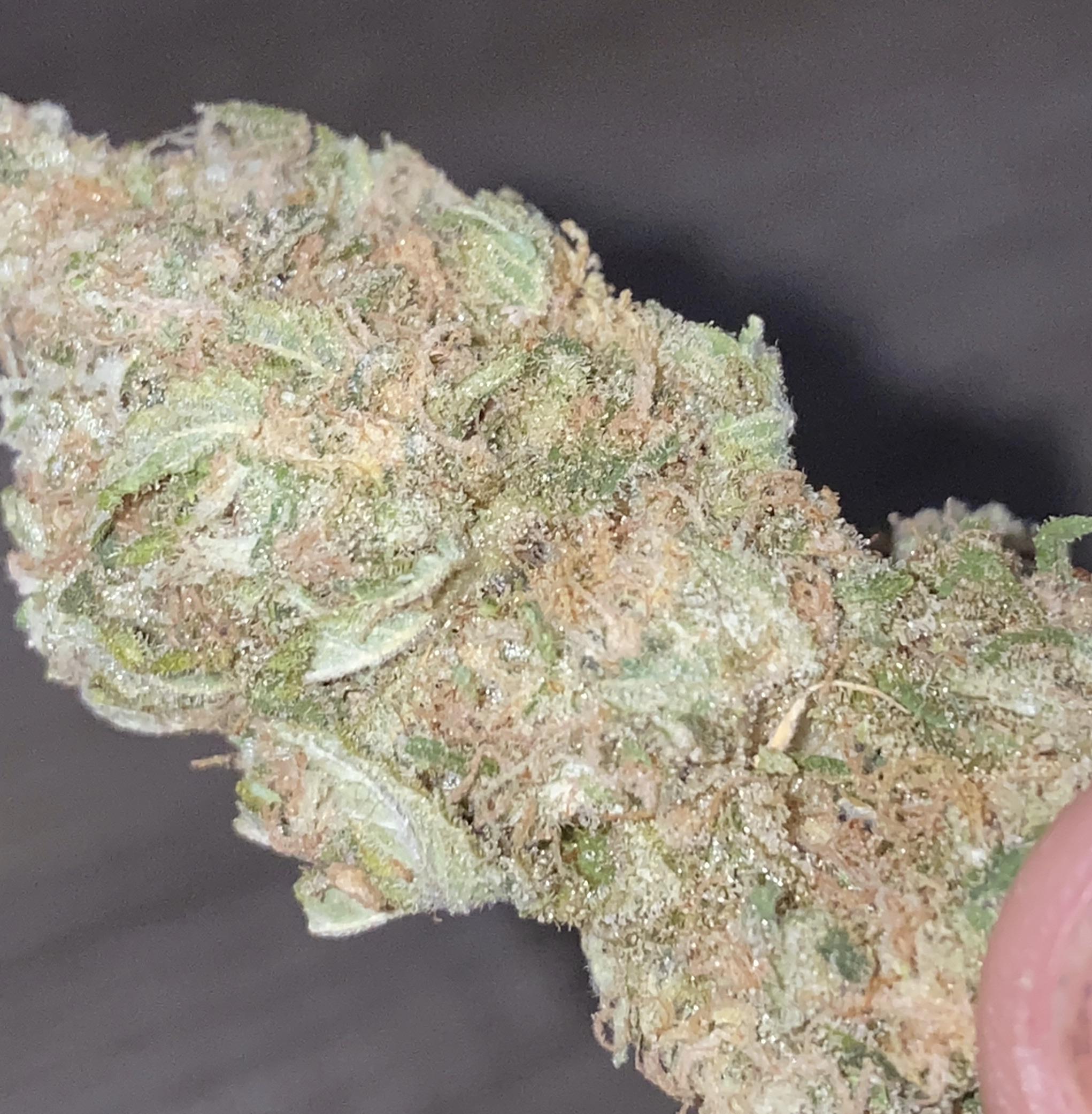 Some beautiful papaya! Smells like fresh fruit! 🤤🤤 r/uktrees