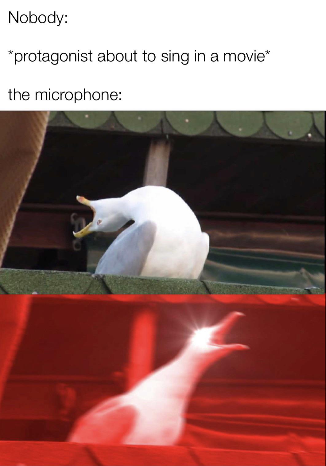 loud screeching intensifies : r/memes