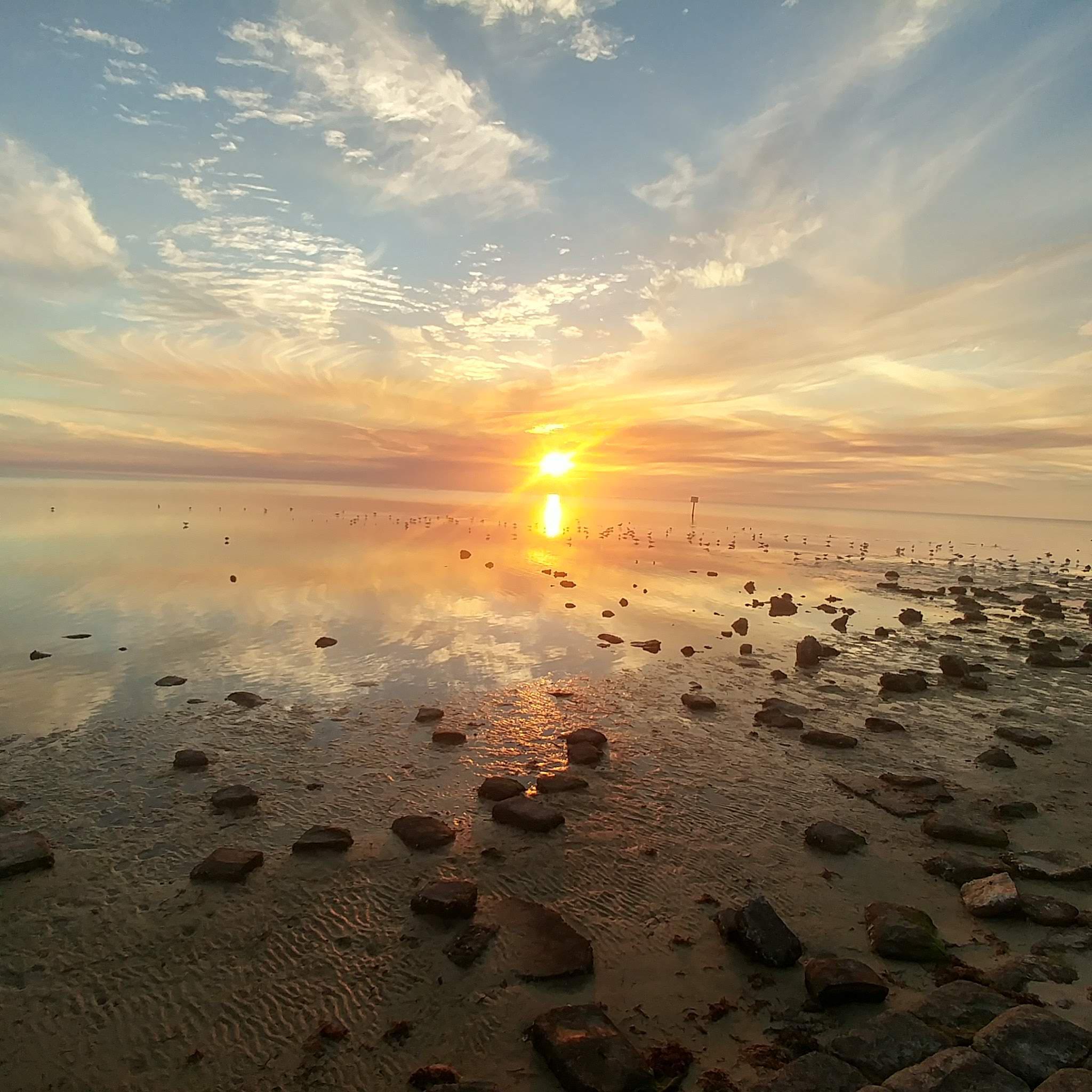 Sunrise near Tampa, Florida r/pics