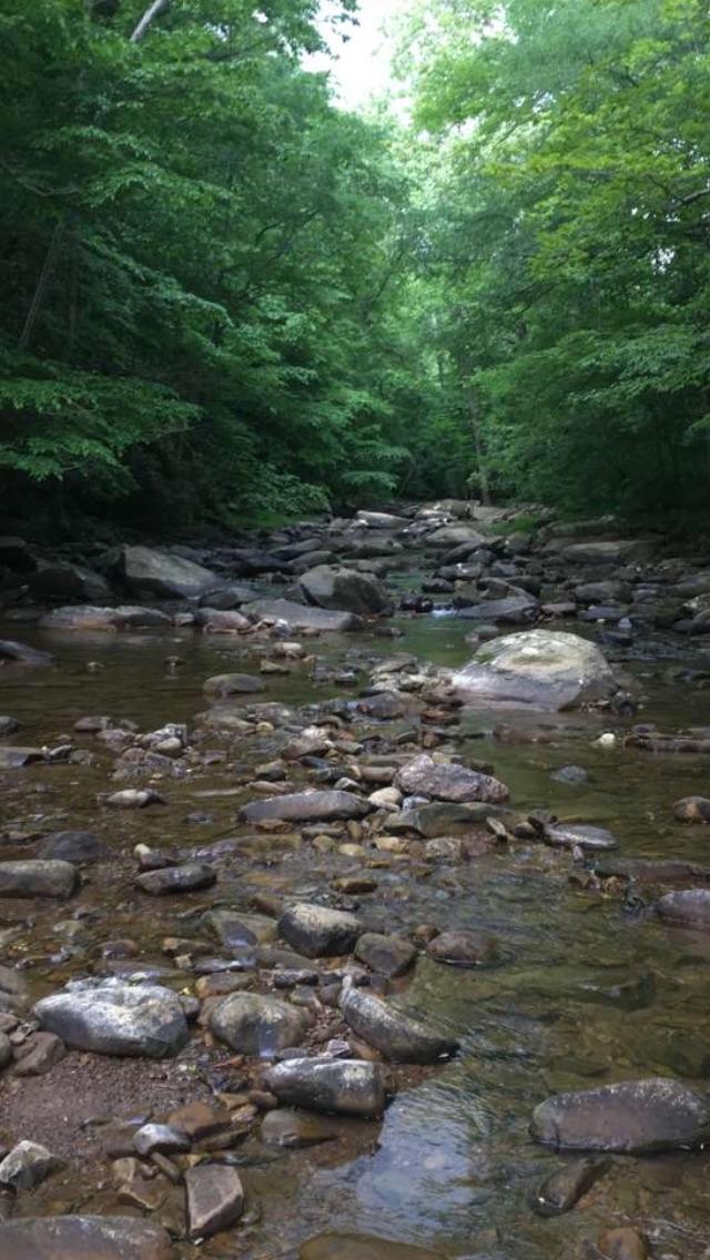 So I found a neat creek in Tennessee today r/Outdoors