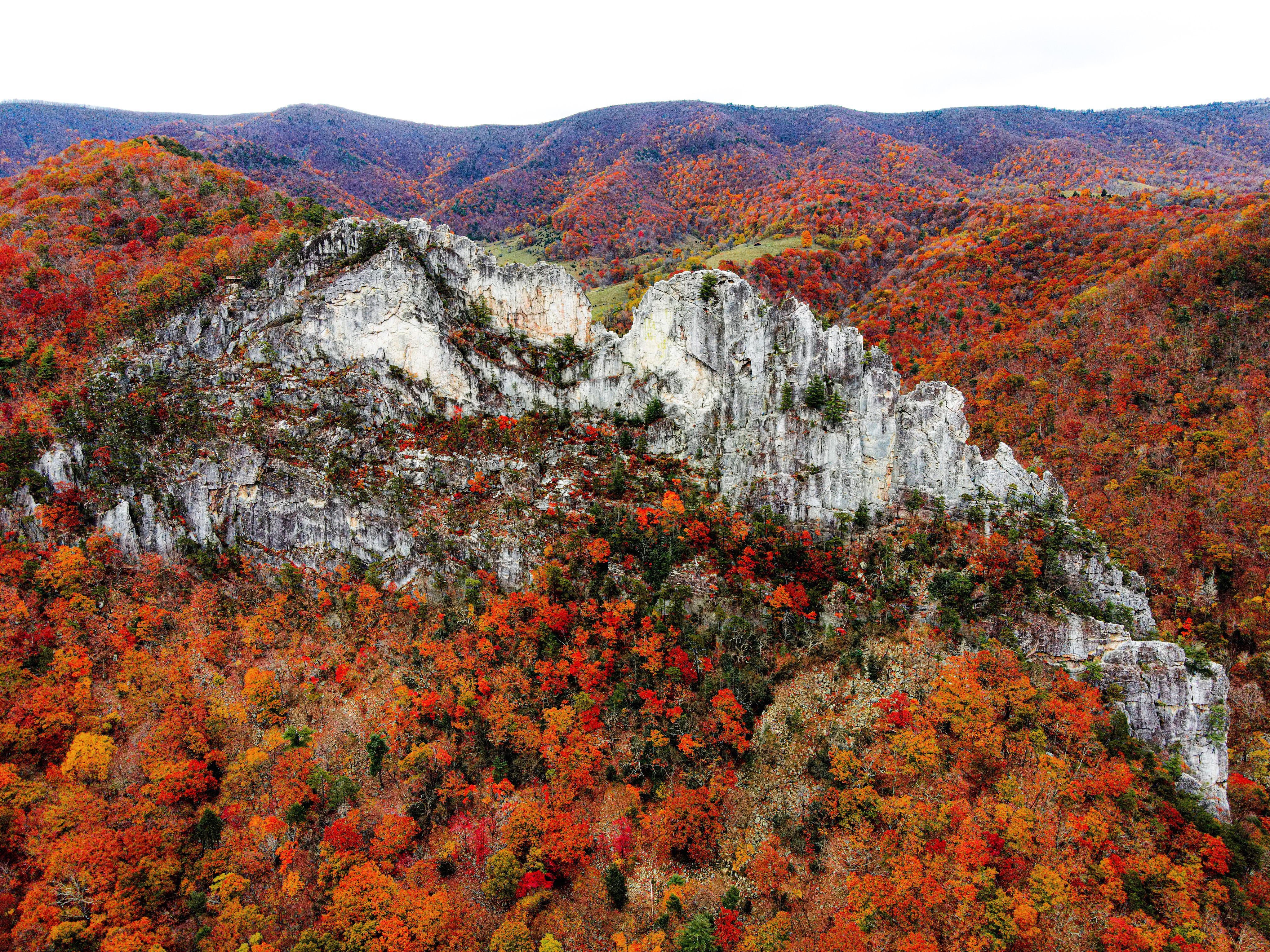 ⛰Seneca Rocks, WV r/WestVirginia