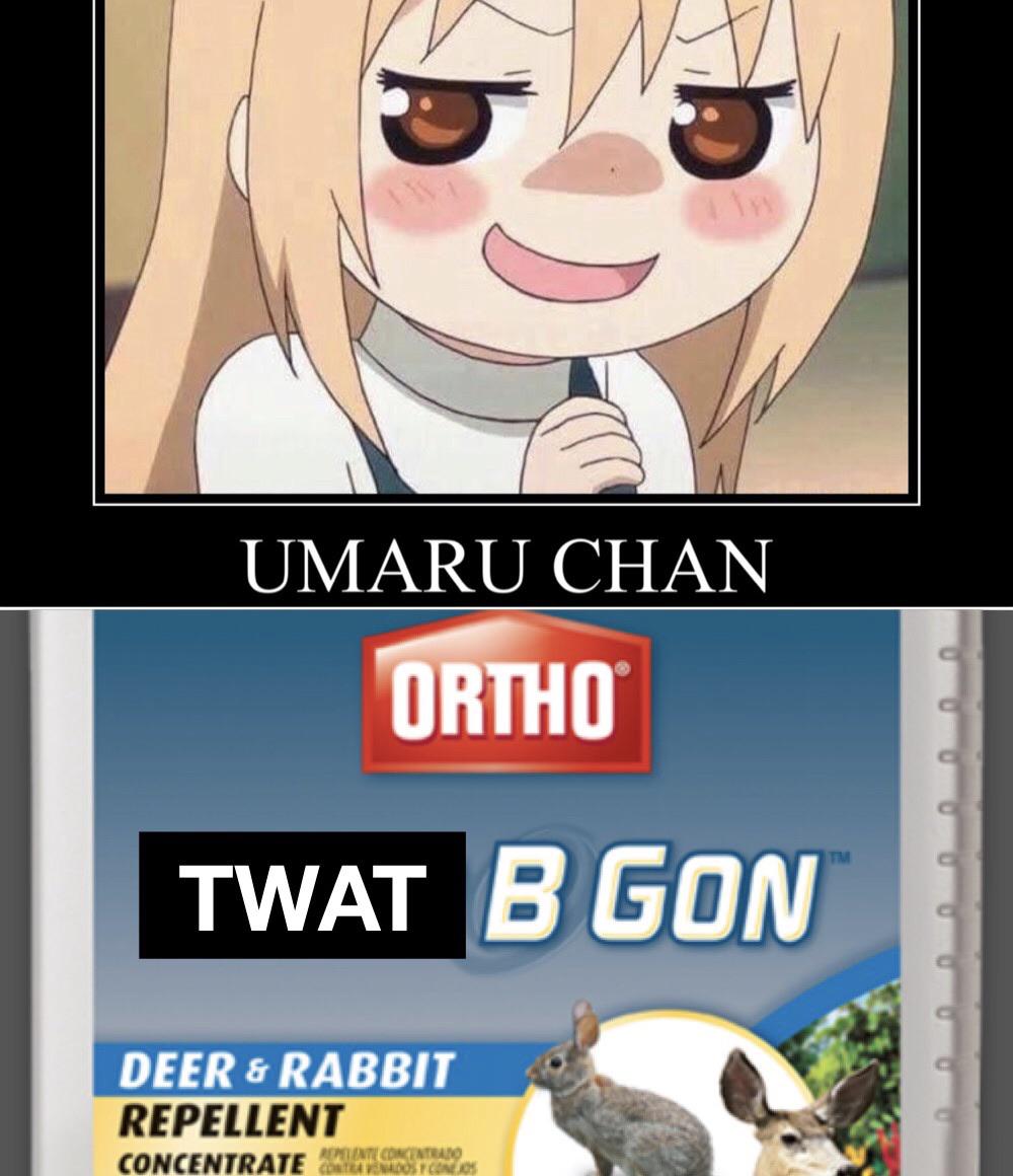 What your favorite anime says about you 1 Animemes