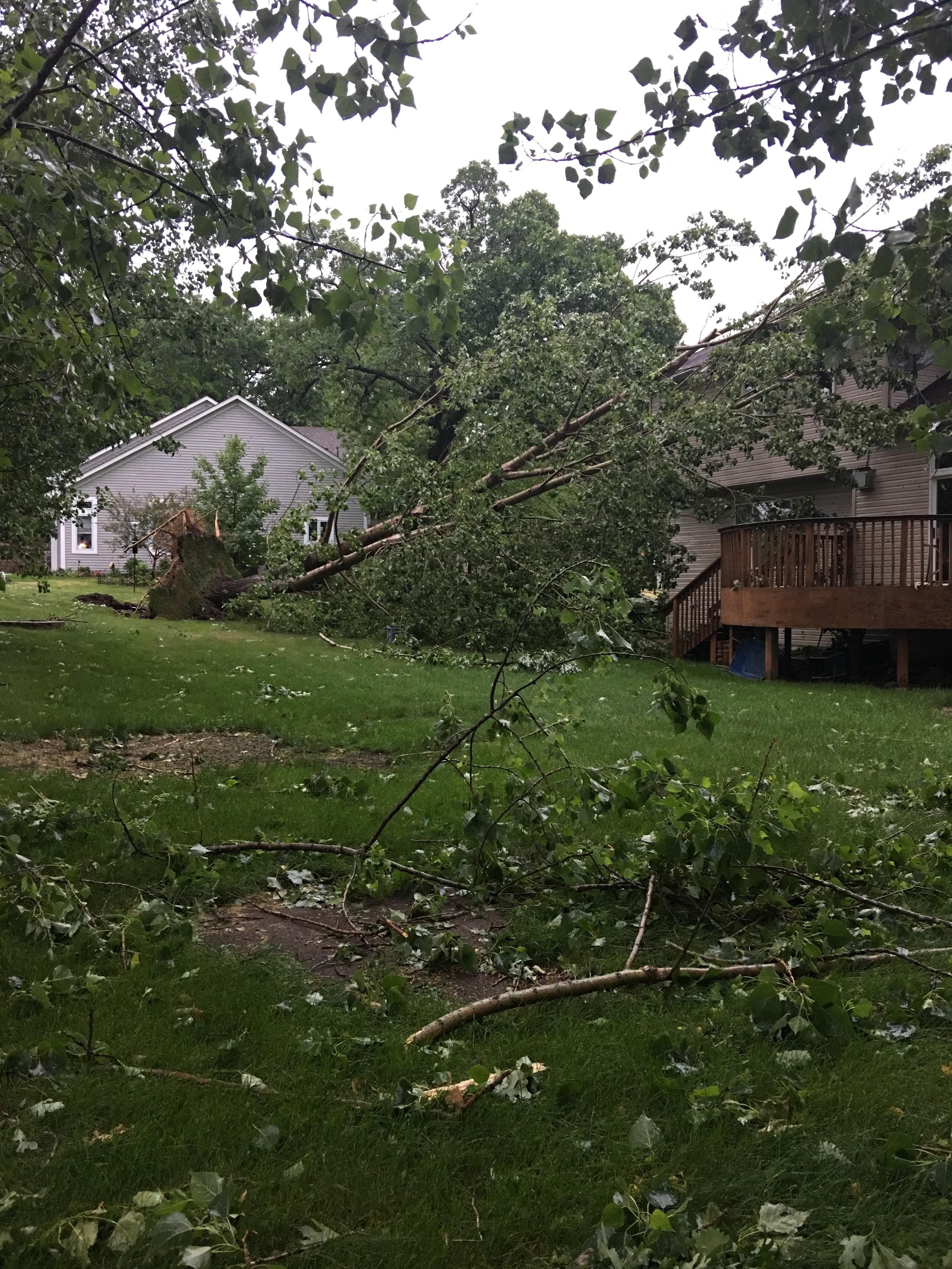 My poor neighbor (Monticello, MN) r/minnesota