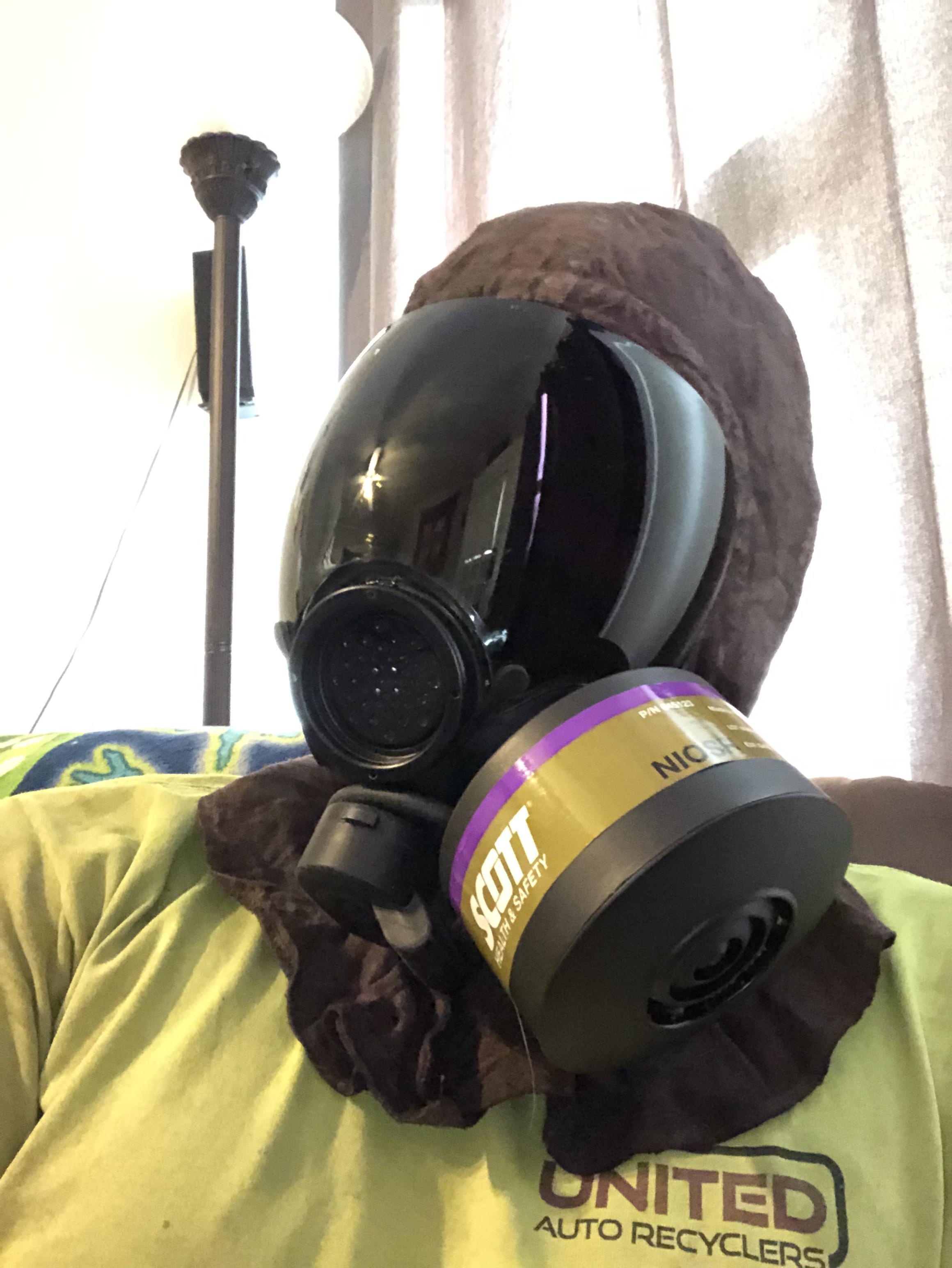 I’m starting to see why people love these tinted visors. r/gasmasks