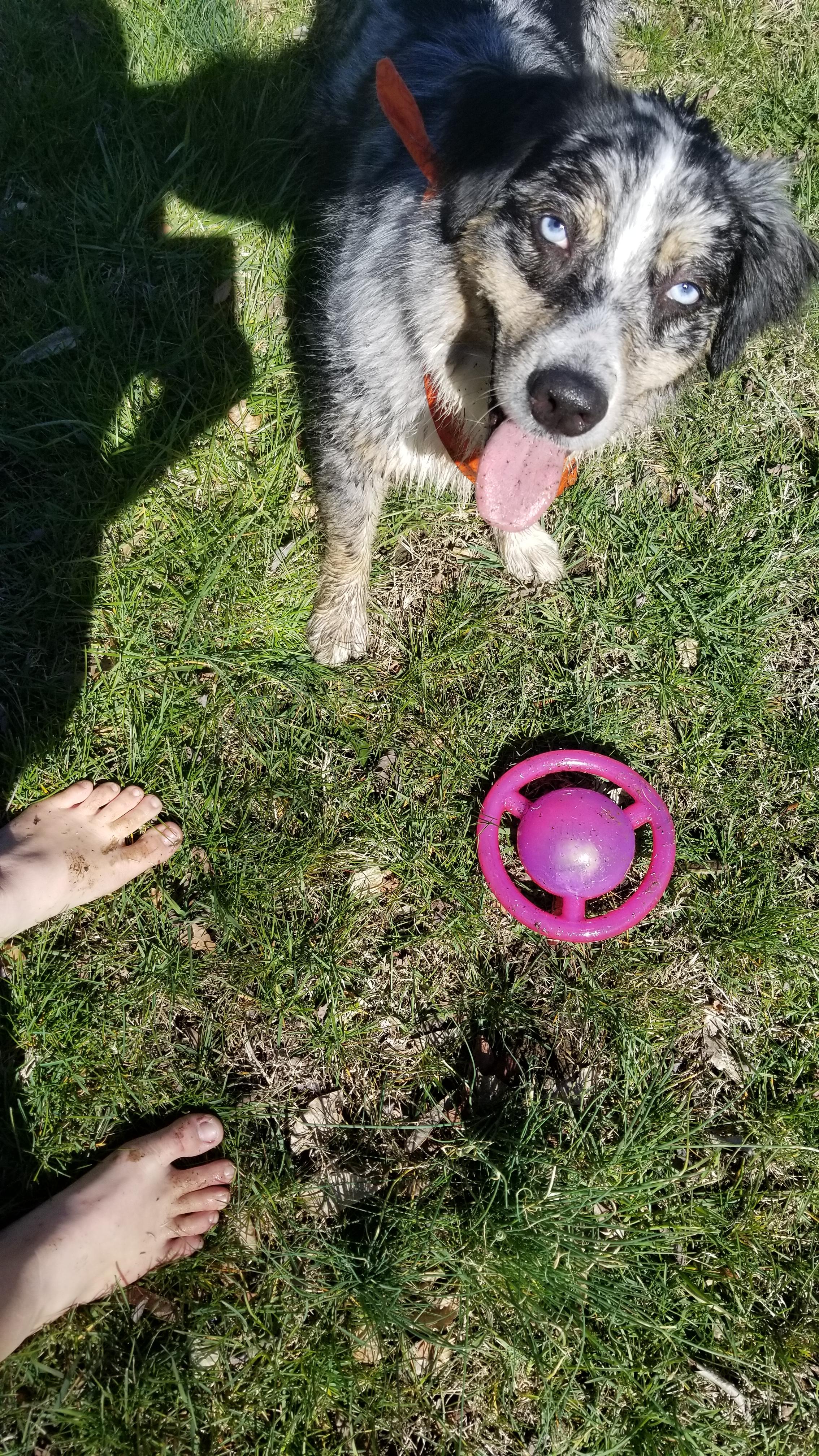It's fun to have muddy feet and muddy paws! r/barefoot