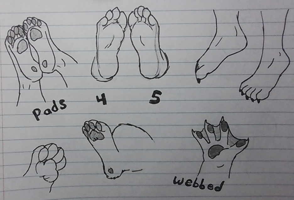 Furry Paws/Feet references r/FurryArtSchool