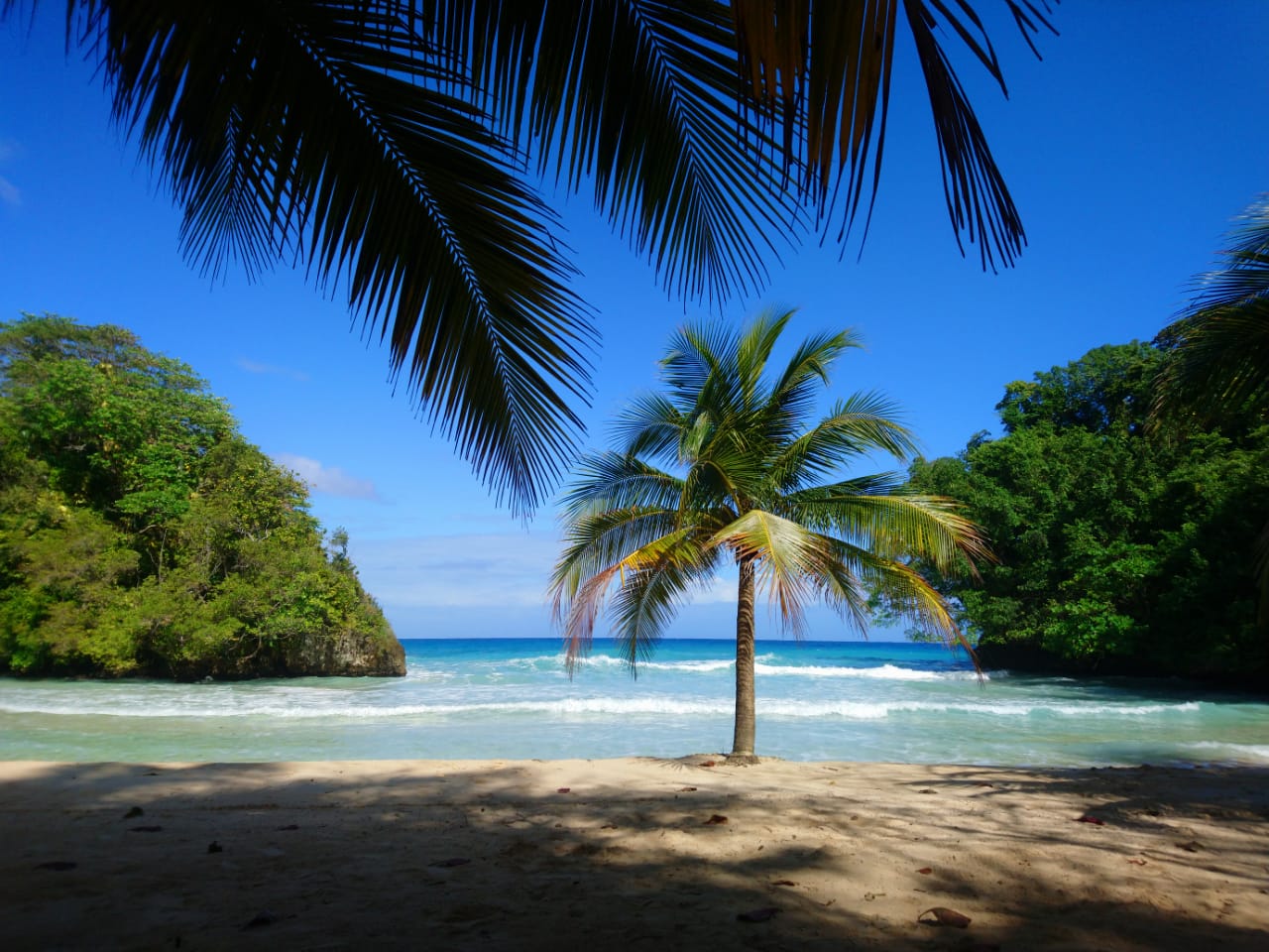 Early Morning at Frenchmans Cove in Portland, Jamaica [OC] [1280x960
