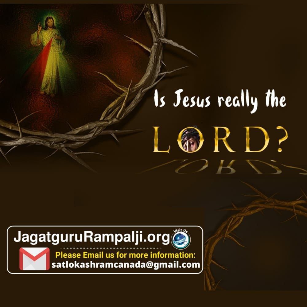 Cricket Jesus Ball at Peggy Kimball blog