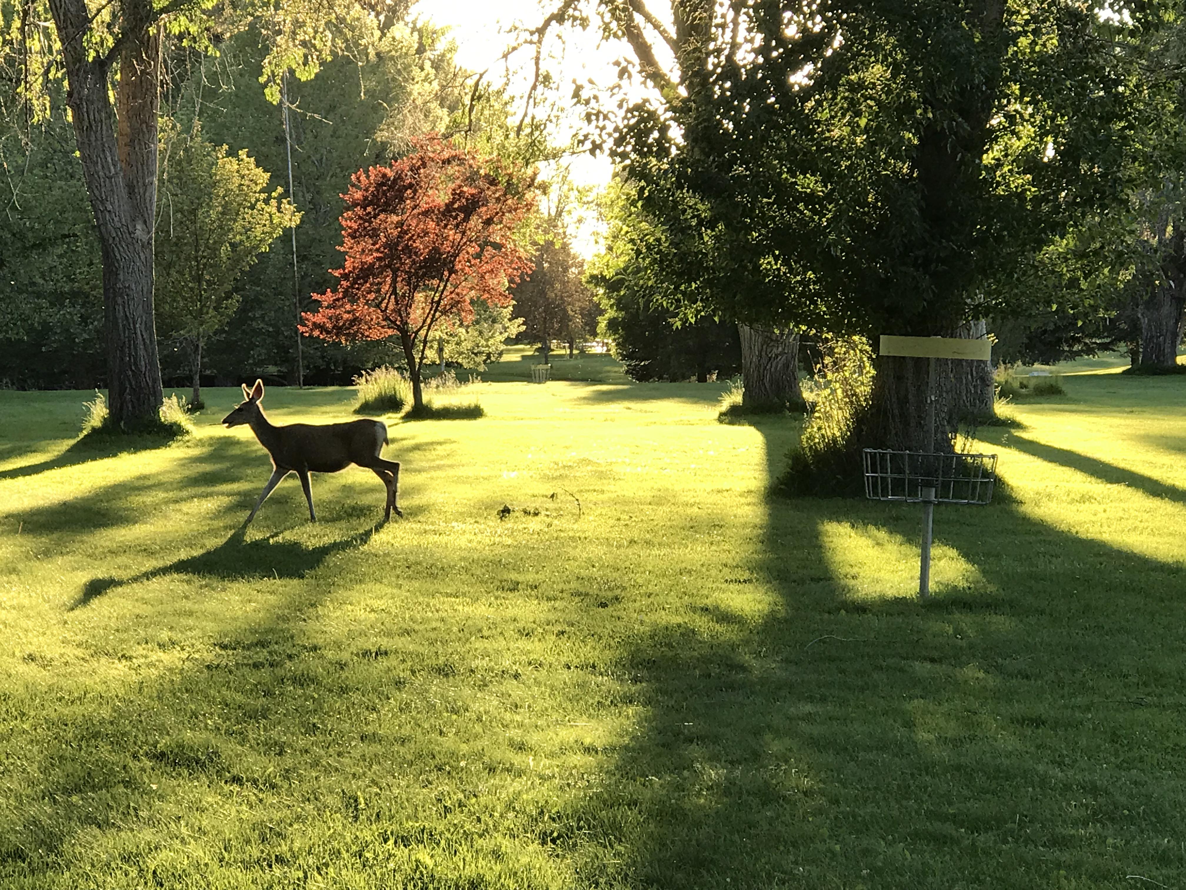 Lake Walcott State Park sunset round r/discgolf
