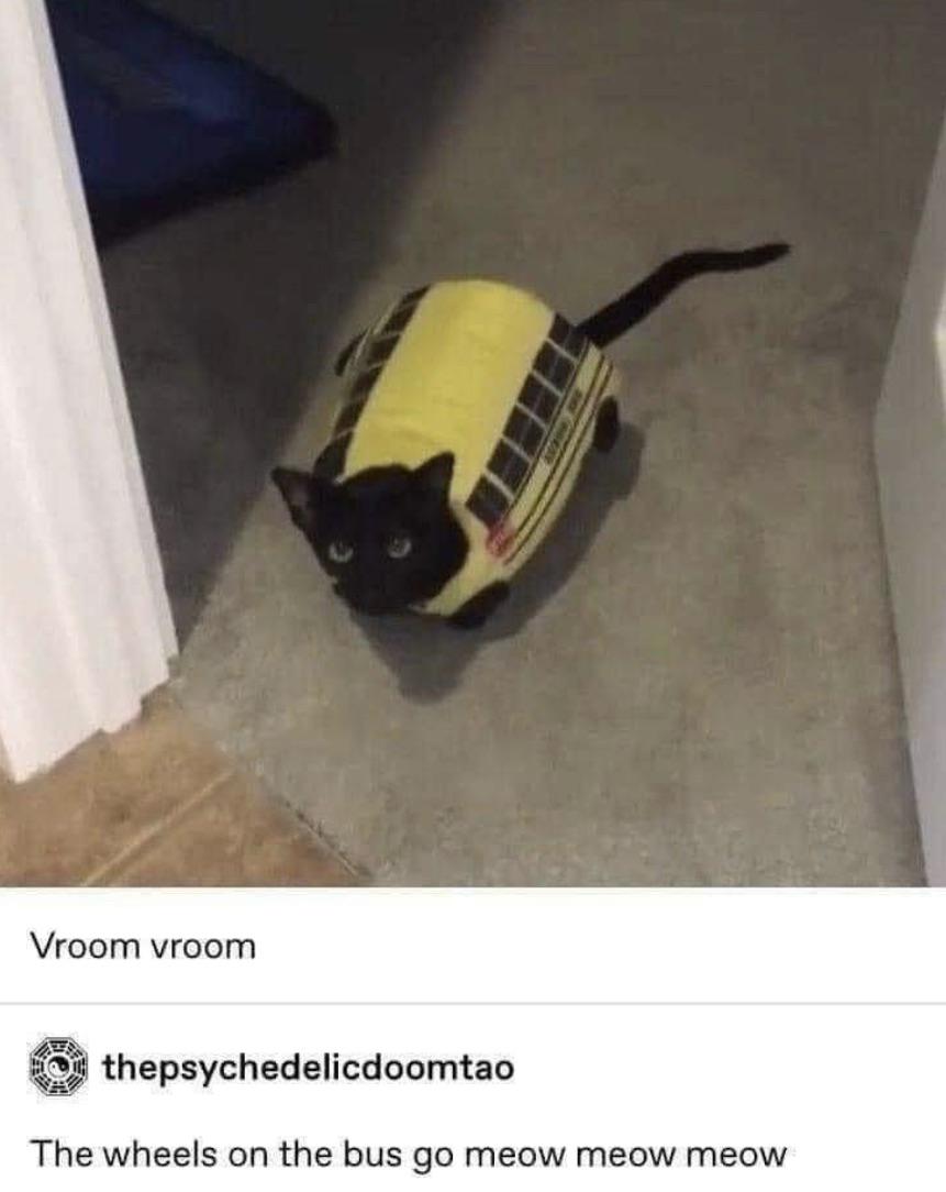 immediately thought of nutt with this so i had to post it r/DefectiveNutt