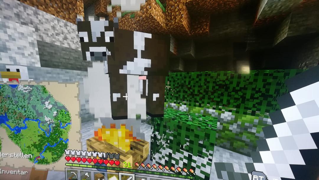 This can't be healthy r/Minecraft