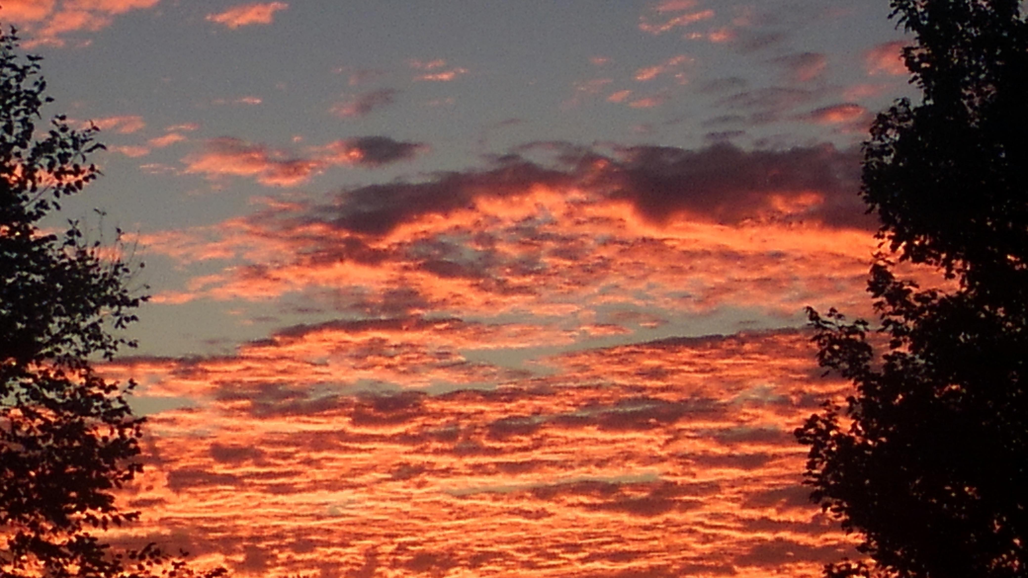 Sunset in Tennessee! r/mildlyinteresting